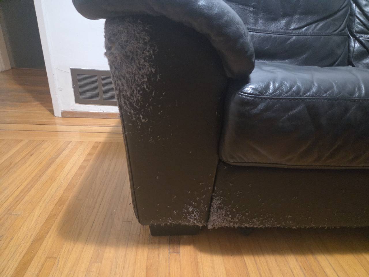 Black L-Shaped Sectional with Chaise – Cat Scratches - photo 2