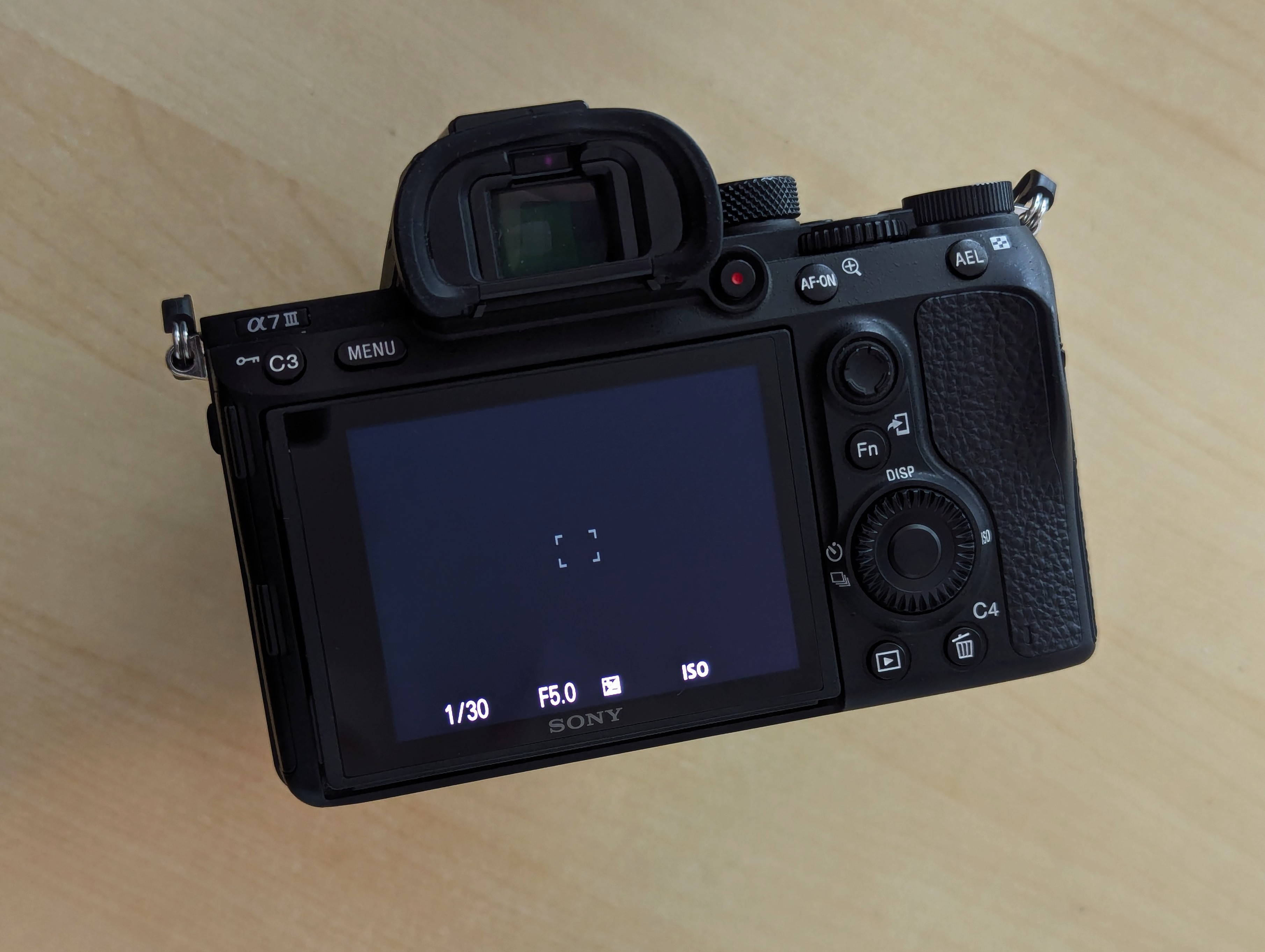 Sony A7III + FE 28-70mm kit lens - photo 5