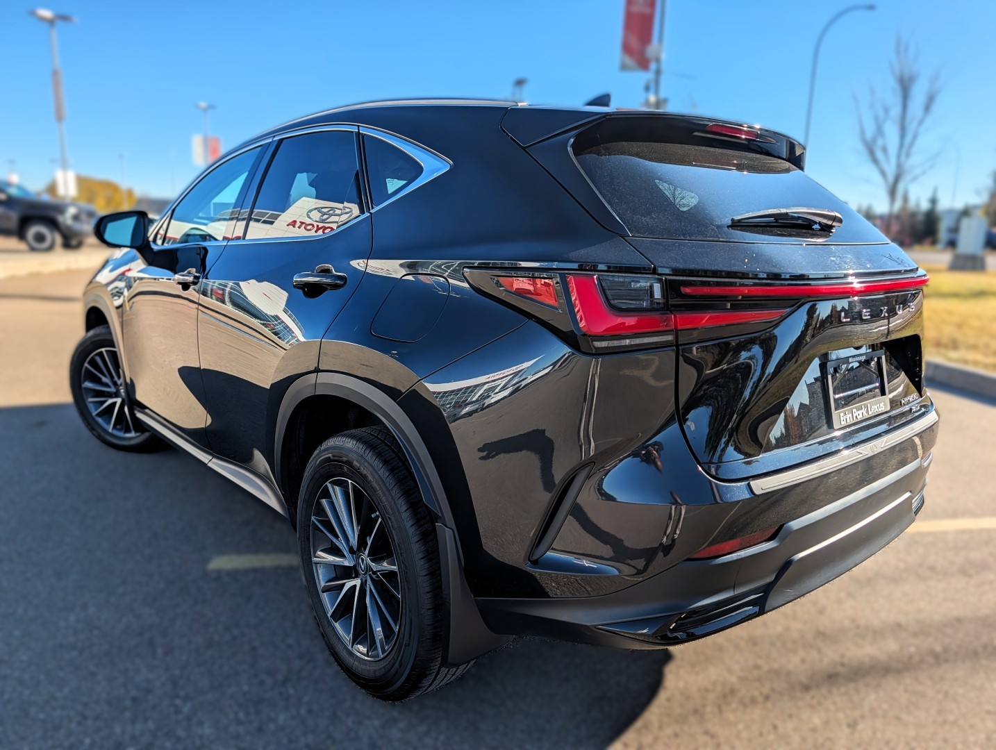 2023 Lexus NX 250 - photo 4