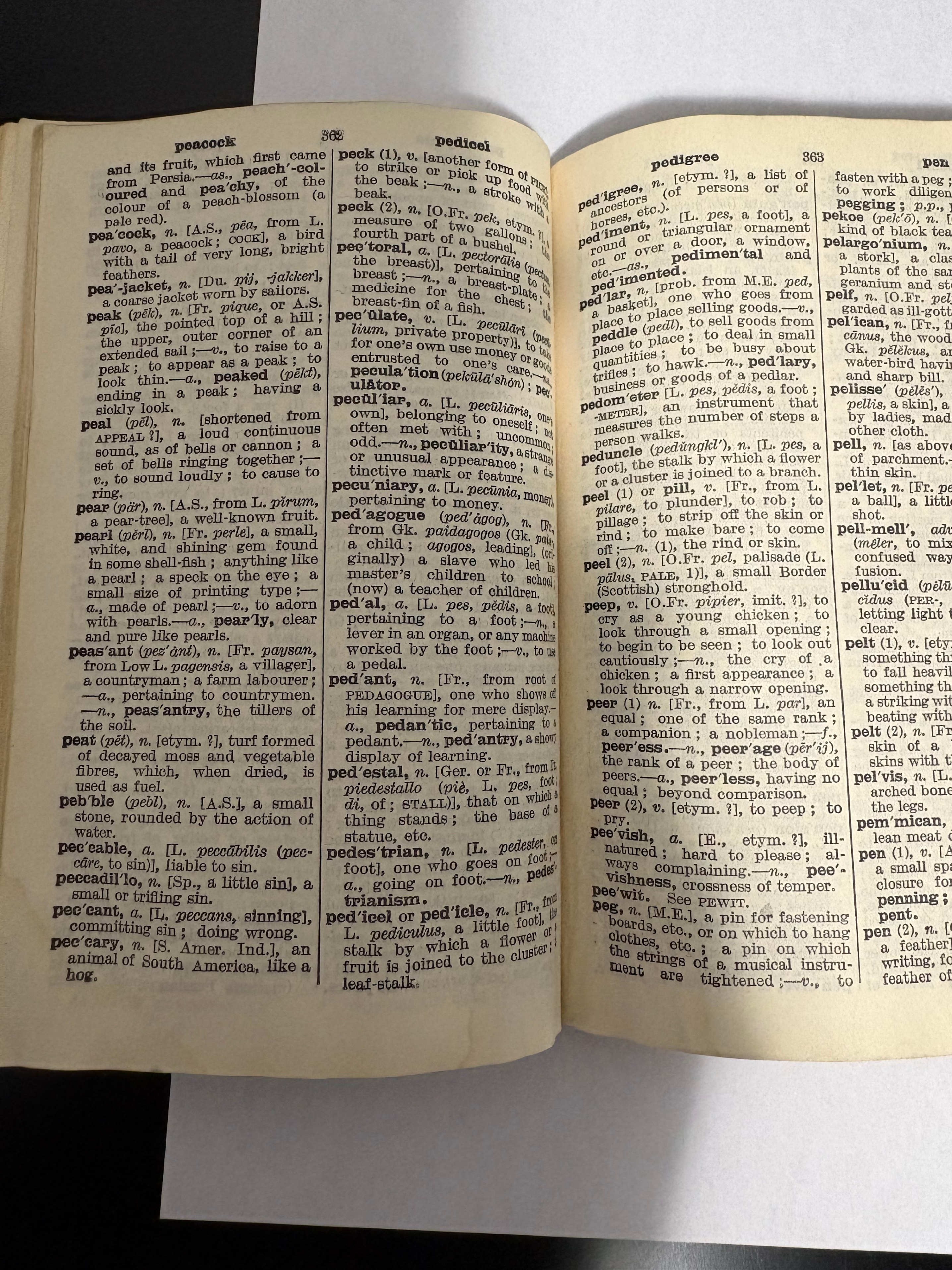 Vintage Nelson's Highroads English Dictionary 1926 - photo 4