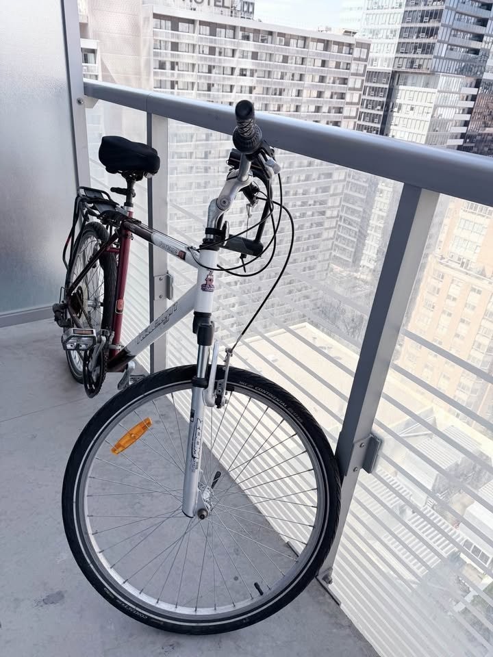 Raleigh Portage Hybrid Bike - Medium, Rack & Fenders - photo 2