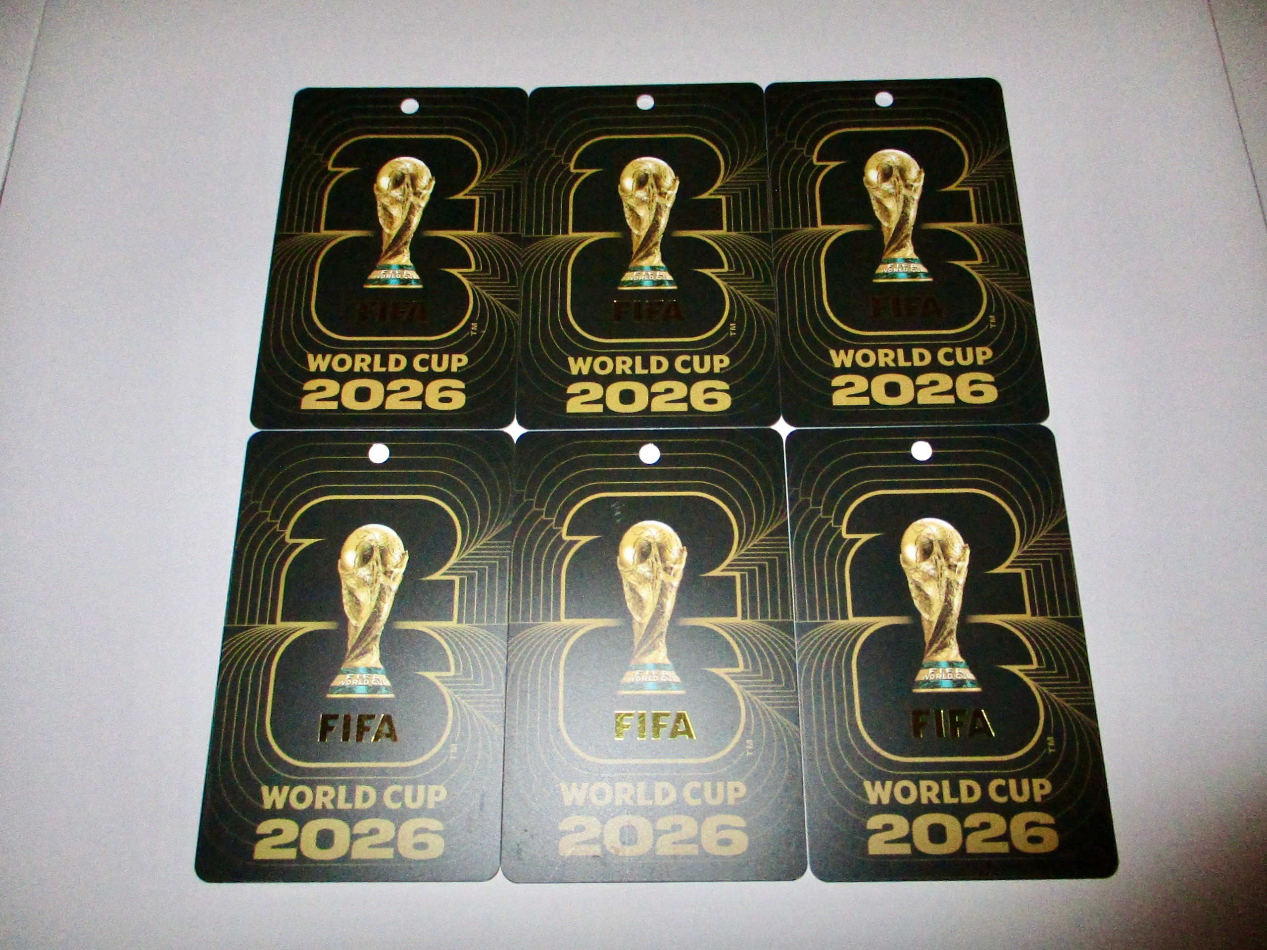 *6* x FIFA Fan Cards & Lanyards ( Set of 6 ) - photo 3