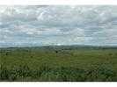 308.7 ACRES | BEARSPAW | LONG-TERM DEVELOPMENT OPPORTUNITY - photo 4