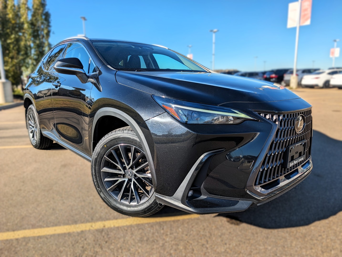 2023 Lexus NX 250