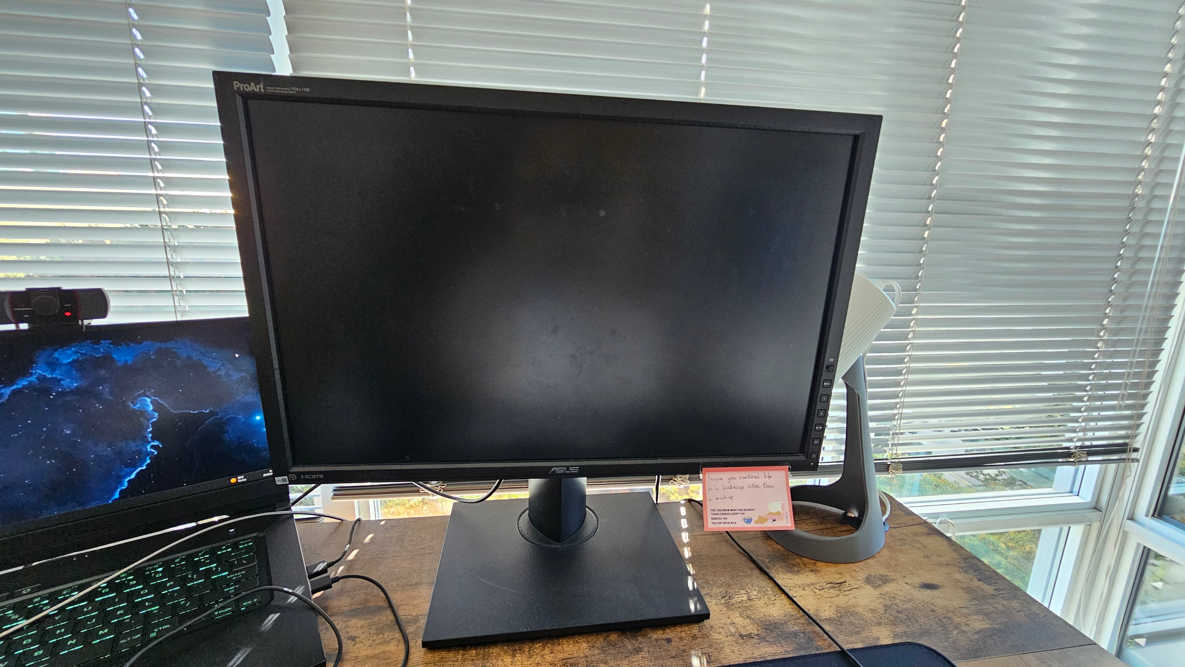 ASUS ProArt PA248Q 24.1" IPS Monitor – 1920×1200