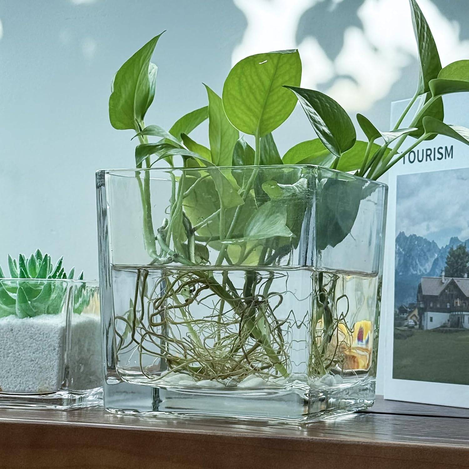 Square Glass Flower Vases - $5 Each - photo 3