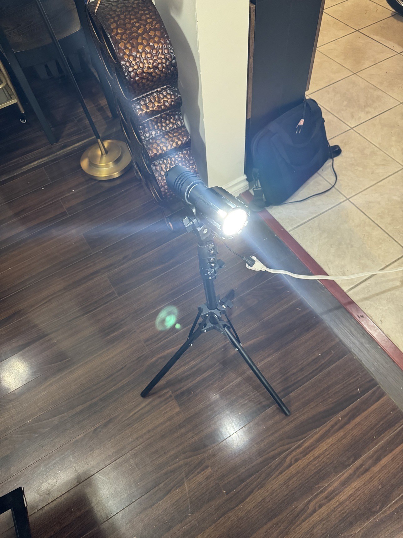 Indoor LED Spotlight with Tripod & Remote - Brand New - photo 4