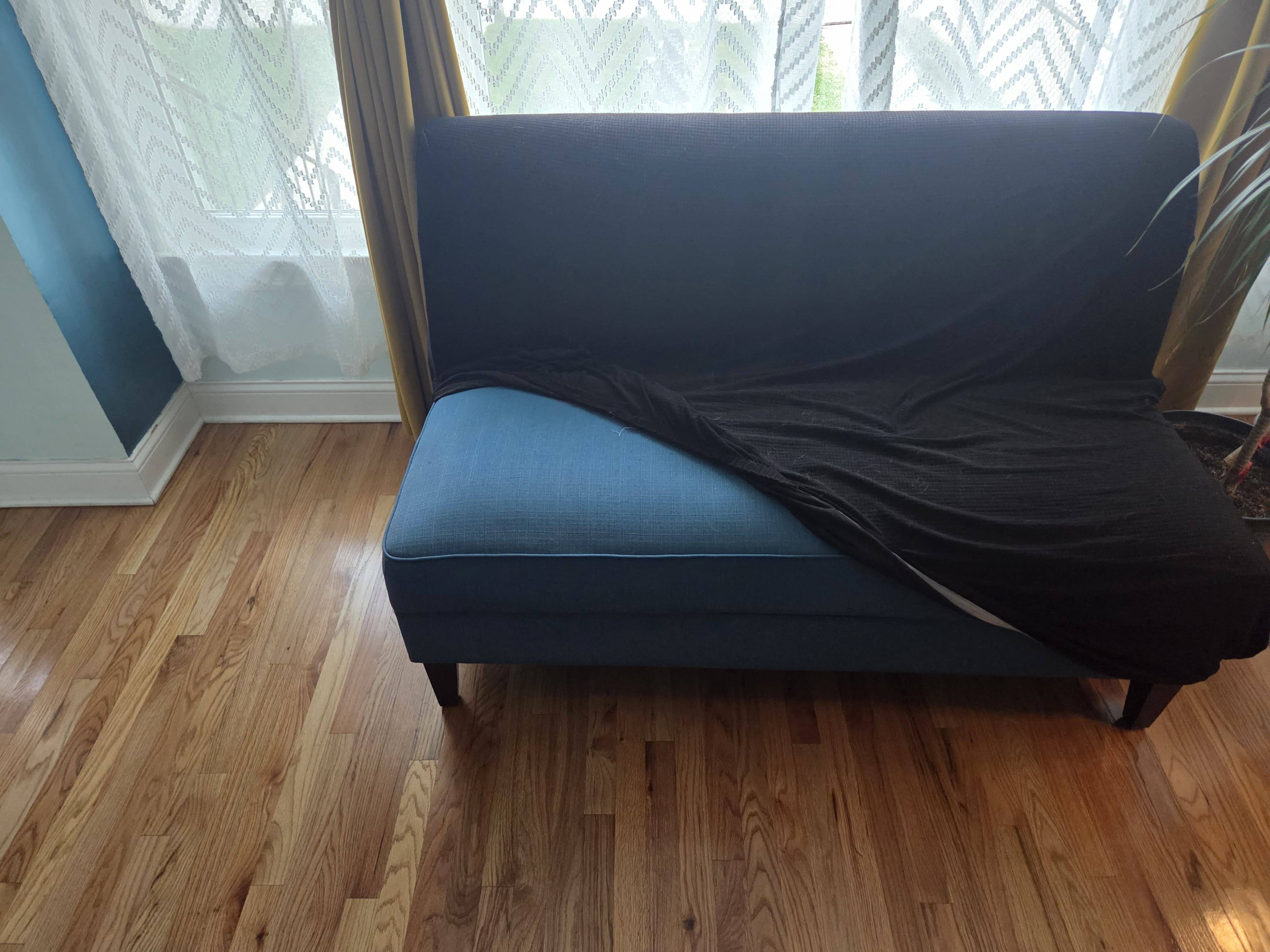 Blue Settee with Black Slipcover - photo 2