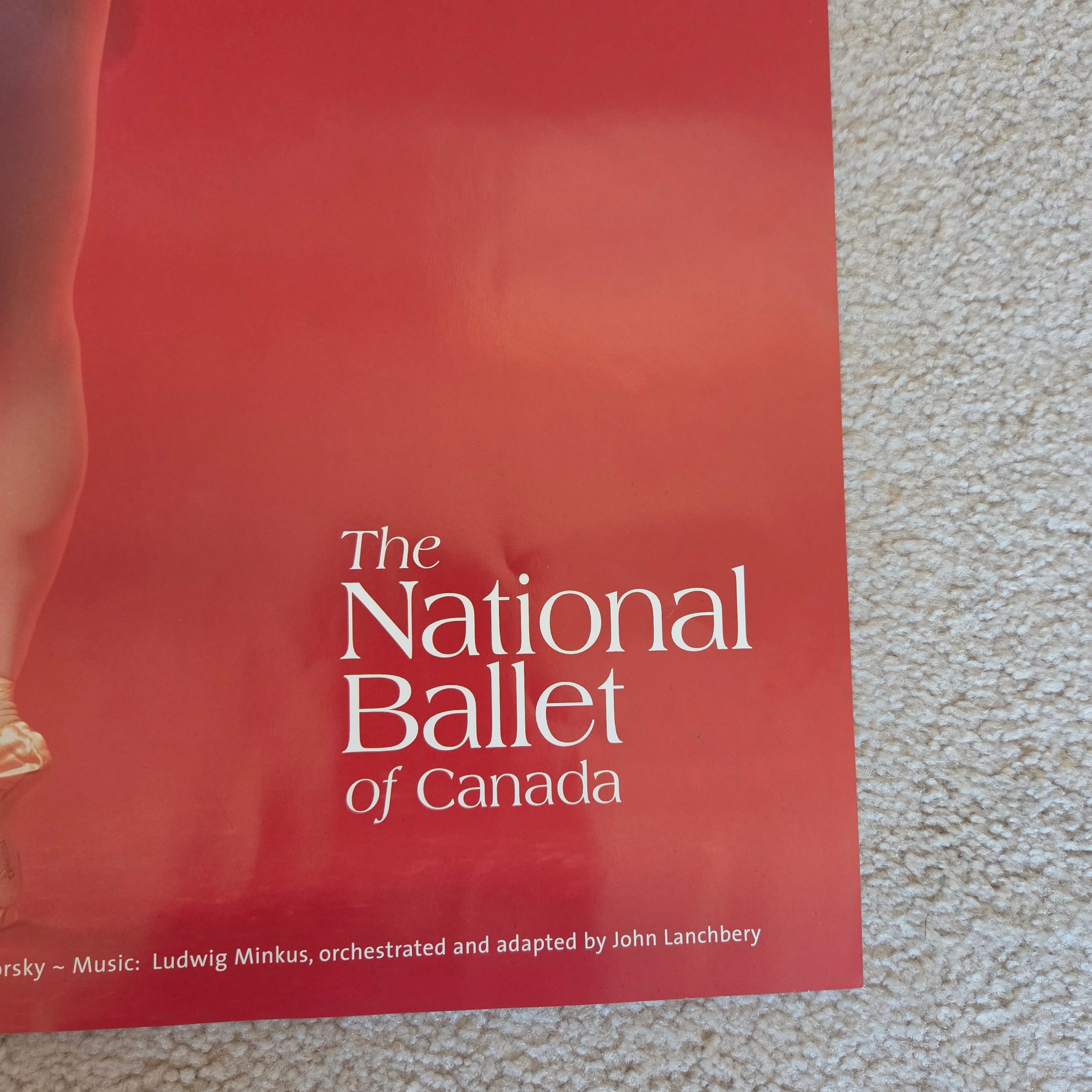 Don Quixote Sonia Rodriguez Play Poster - Pre-Loved! ✨ - photo 2