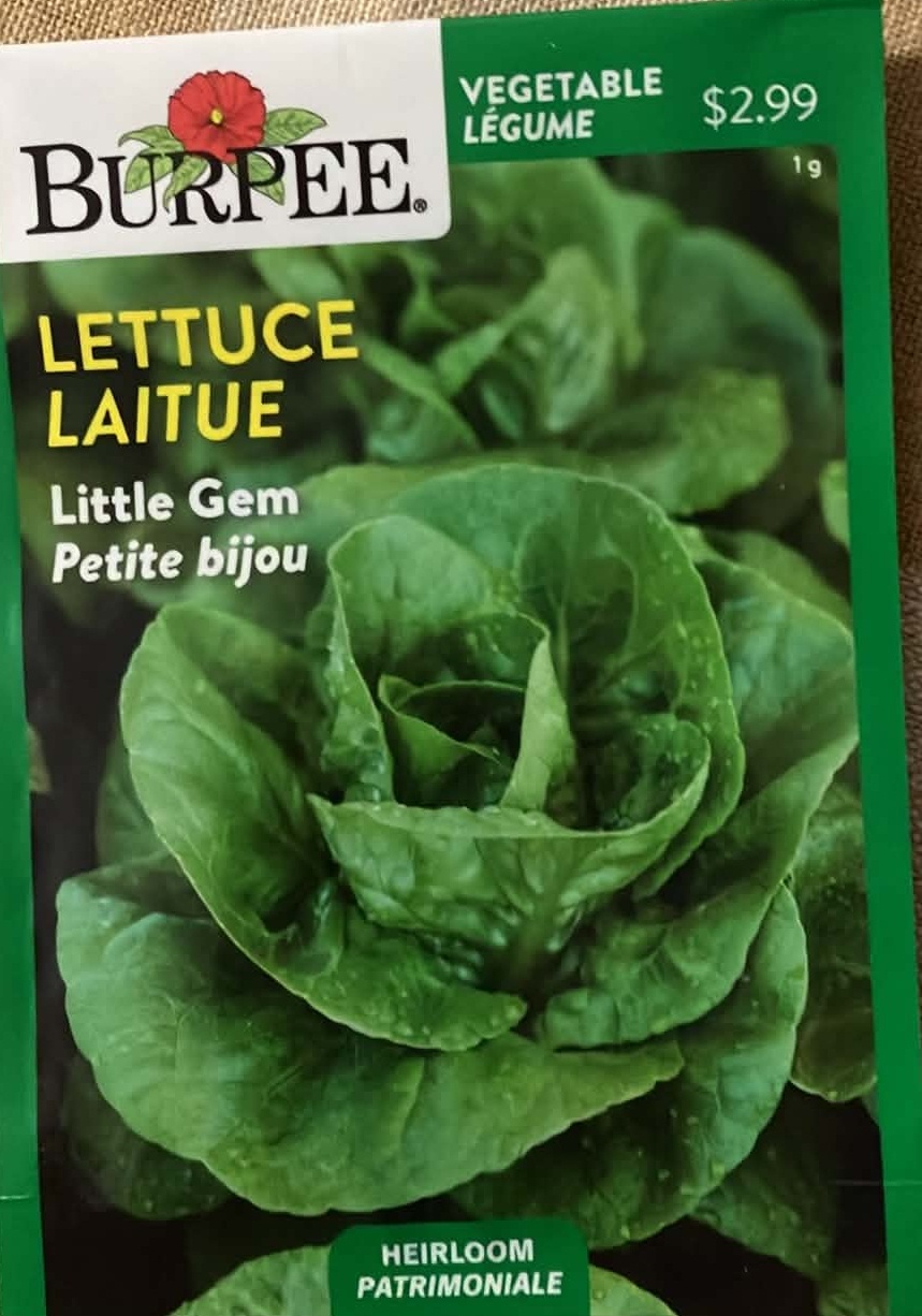 Lettuce Little Gem Seeds
