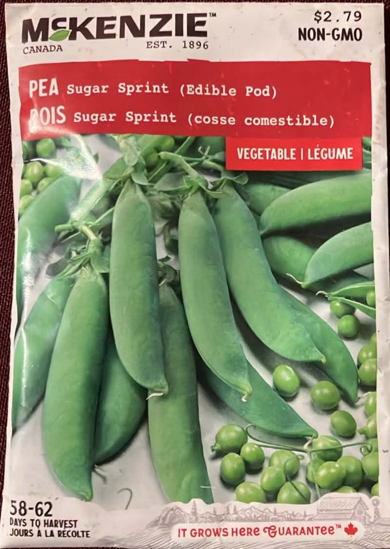 Pea Sugar Sprint Seeds