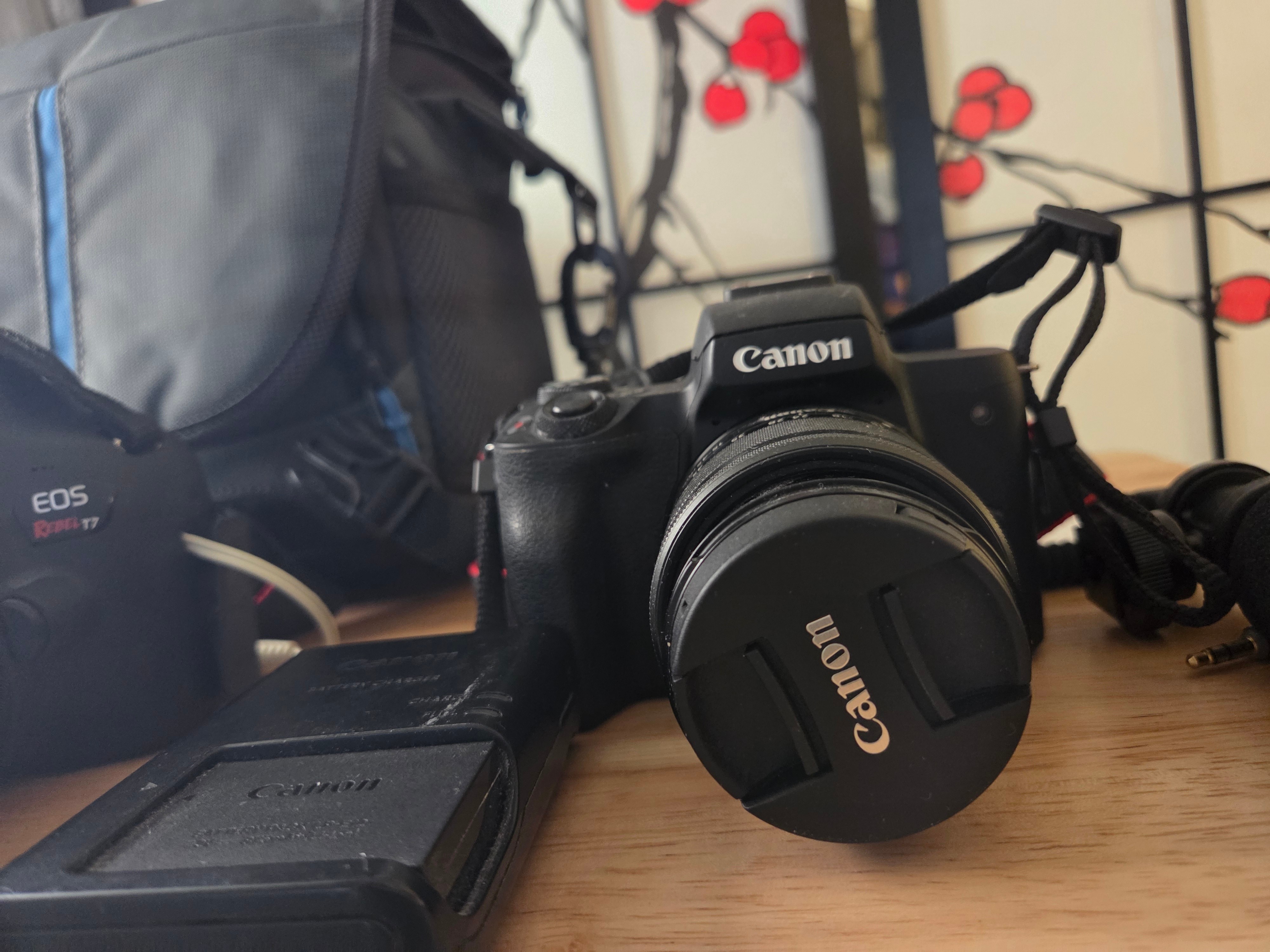2 Canon EOS DSLR Cameras, 1 Camera Bag, 1 Camera Microphone - photo 4