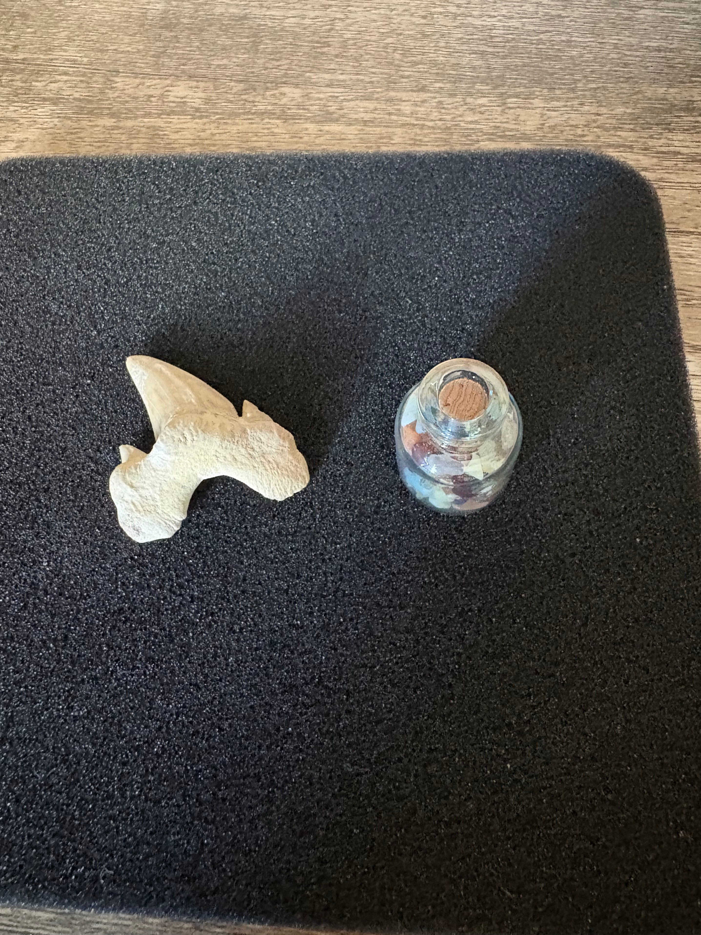 Fossil Shark Tooth and Small Gemstone Bottle - photo 2