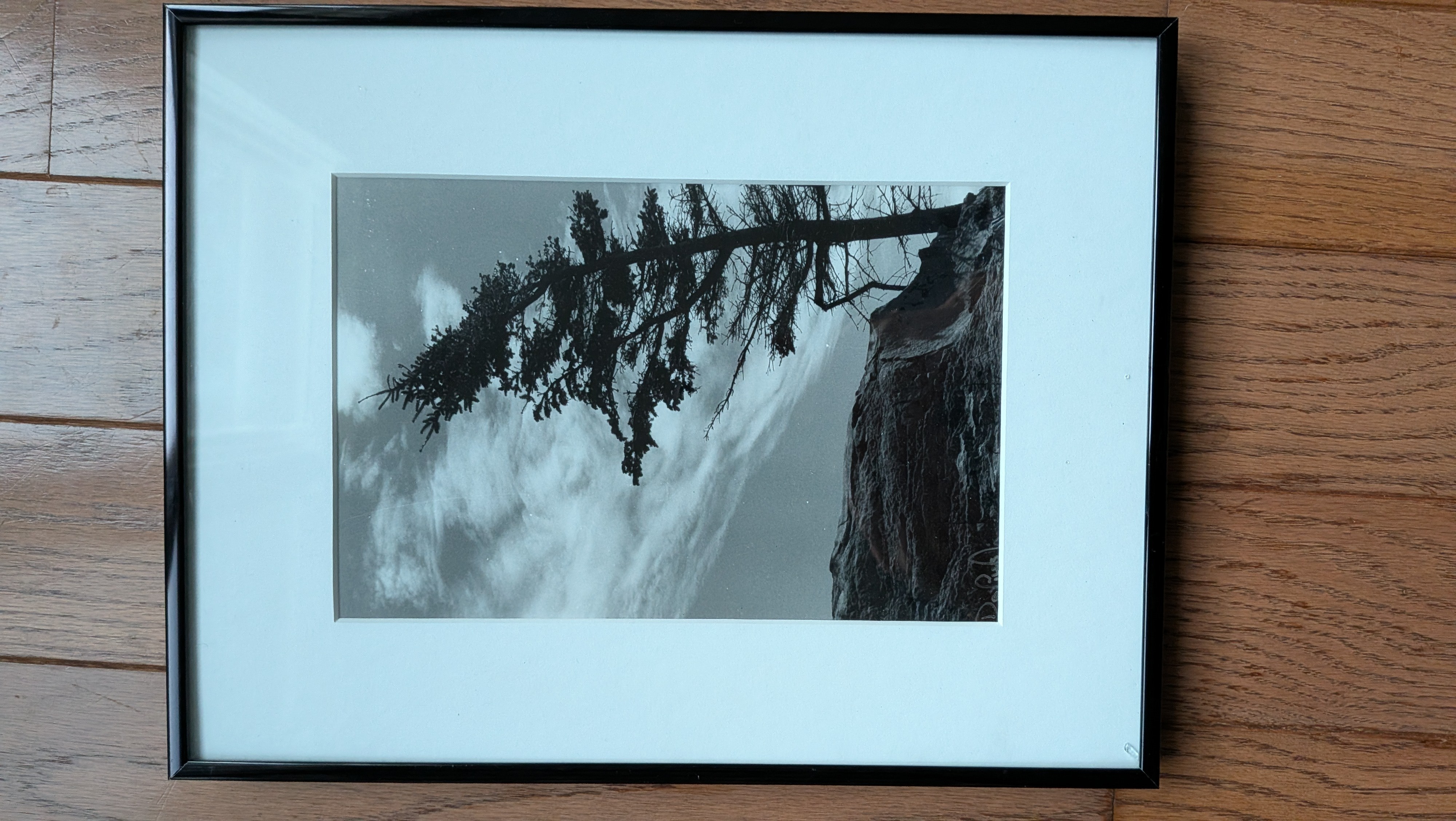 Set of 5 Framed Wall Art & Photography Pieces – $100 OBO