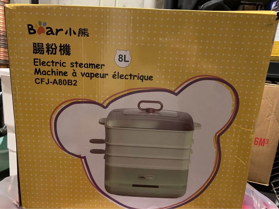 Bear Electric Steamer