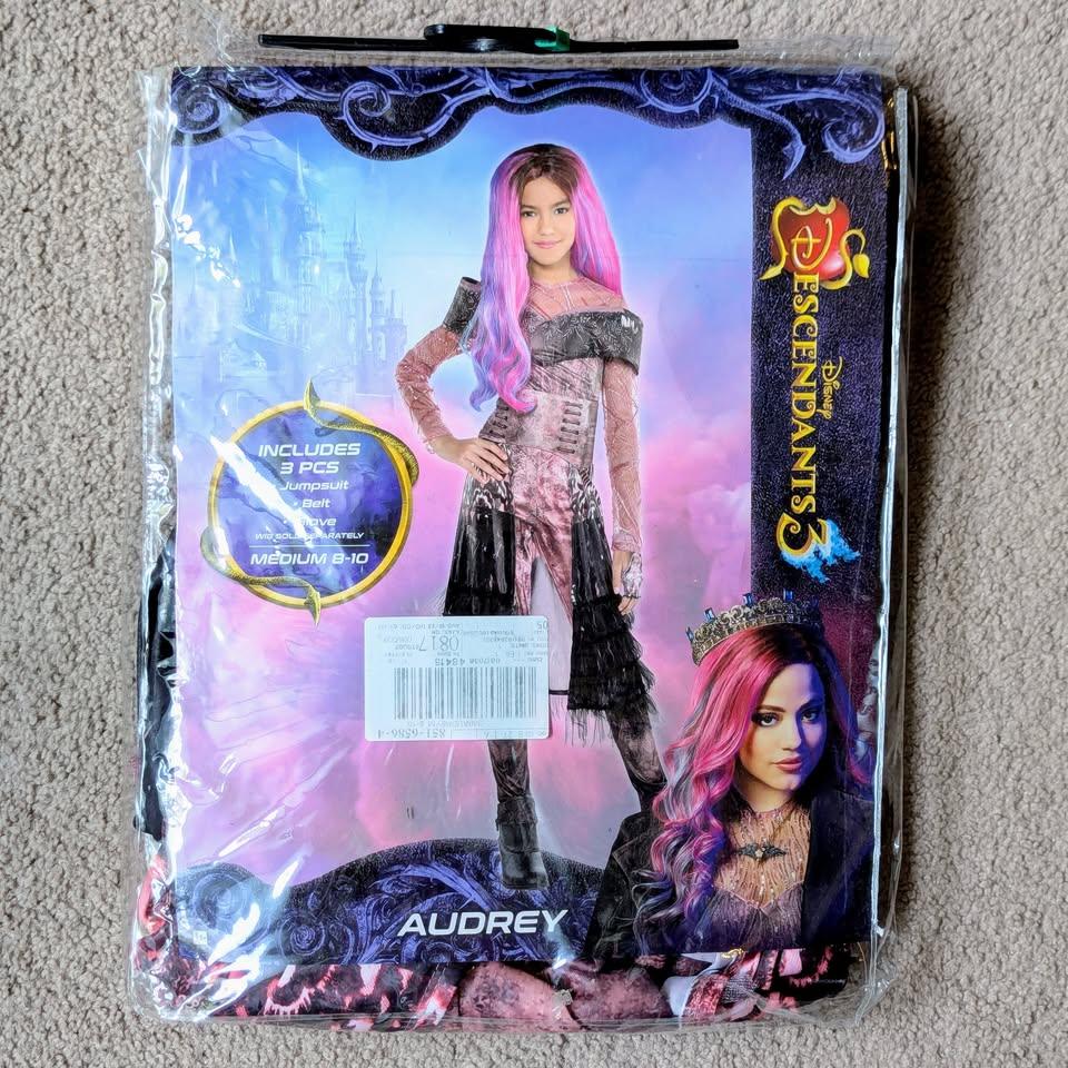 Disney The Descendants 3 Audrey Halloween Costume Kids Medium
