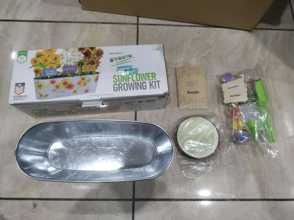 Sunflower Growing Kit, OXeye, autumn beauty and teddy bear