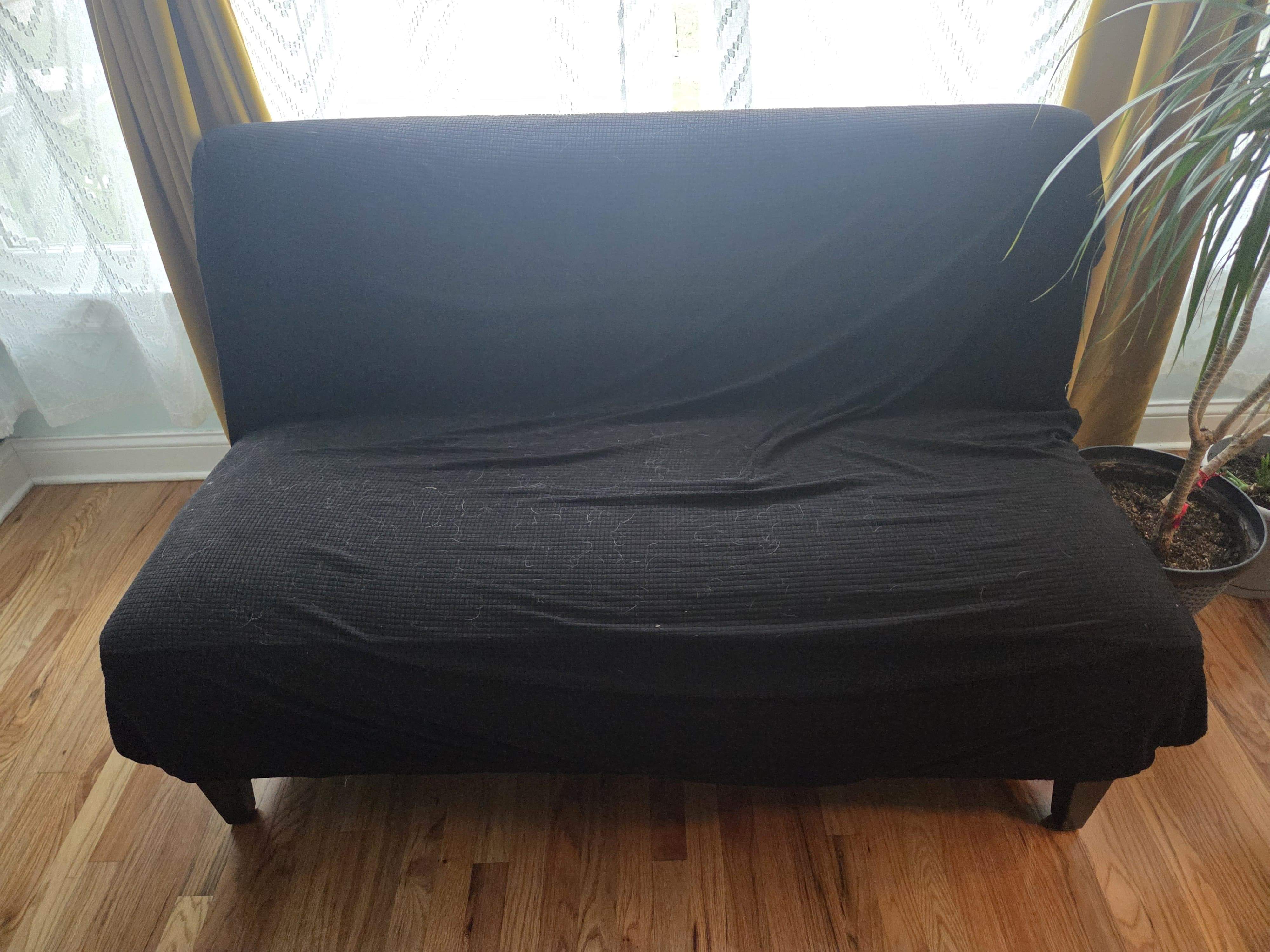 Blue Settee with Black Slipcover