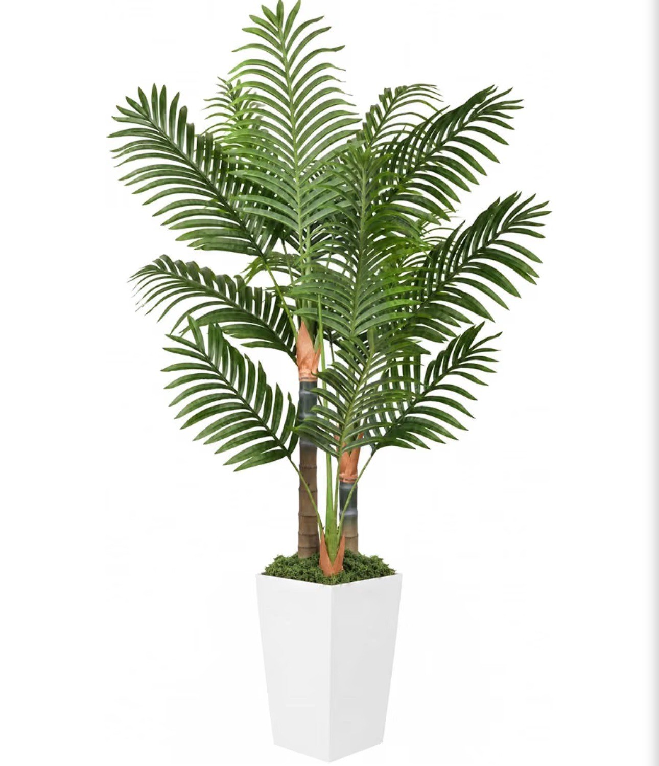 5FT Triple-Trunk Artificial Palm Tree with Tall White Planter - photo 4