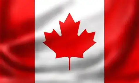 Canadian Flag - photo 2