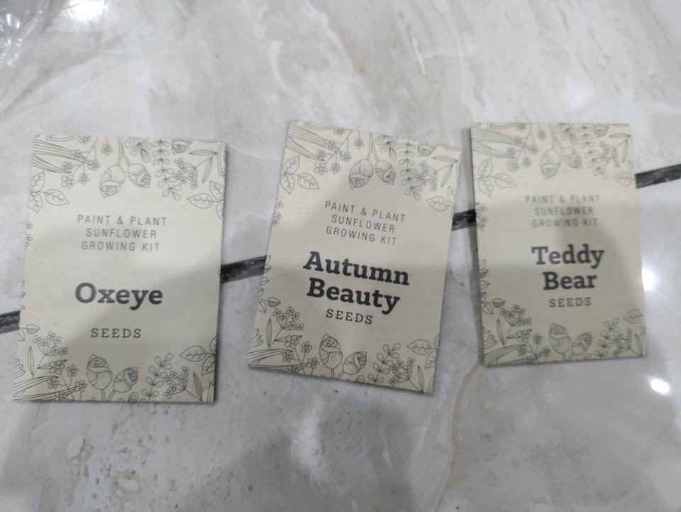 Sunflower Growing Kit, OXeye, autumn beauty and teddy bear - photo 5