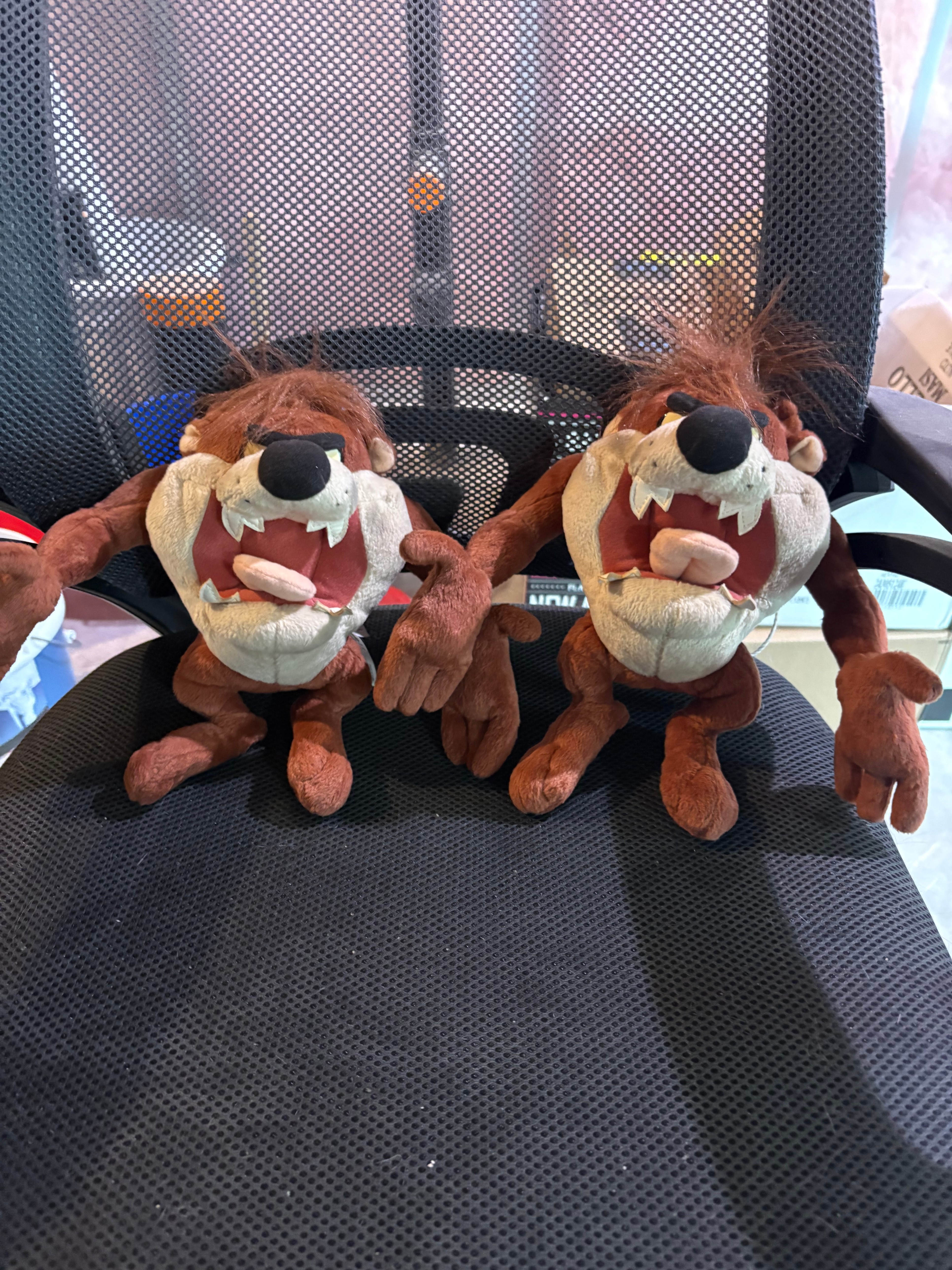 Two Taz Tasmanian Devil Plush Toys