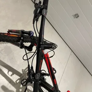 Customized Twitter Elvis 29er Mountain Bike for Men - photo 3