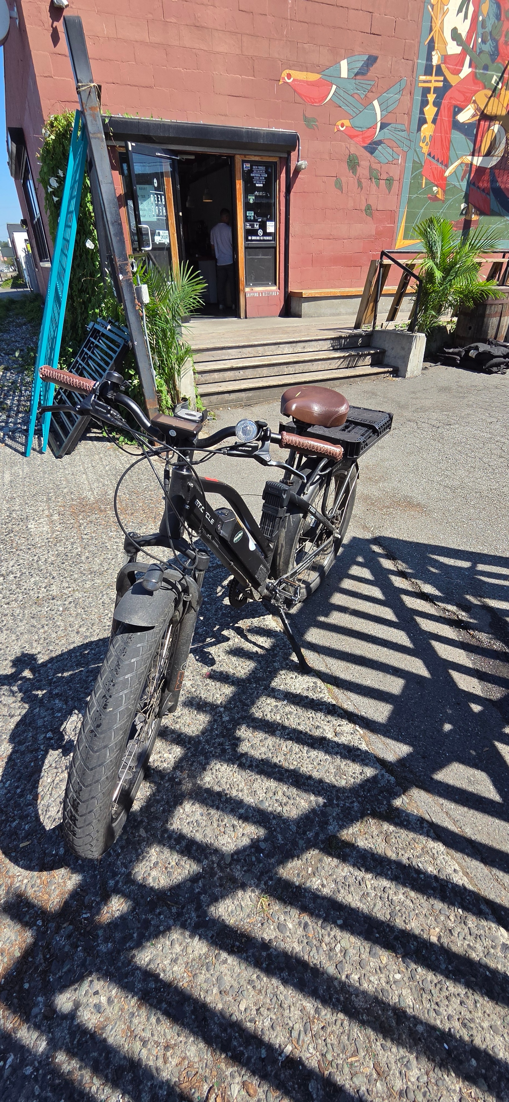 E-Bike - photo 2