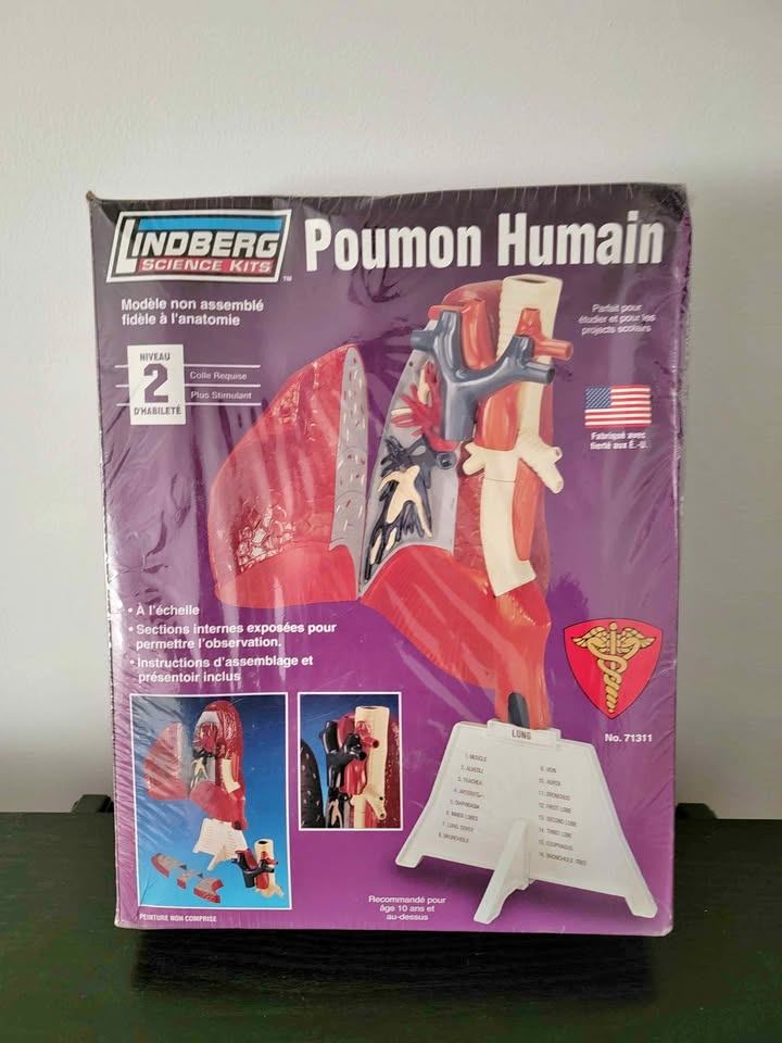LINDBERG #71311 HUMAN LUNG MODEL KIT NEW IN ORIGINAL BOX, SEALED