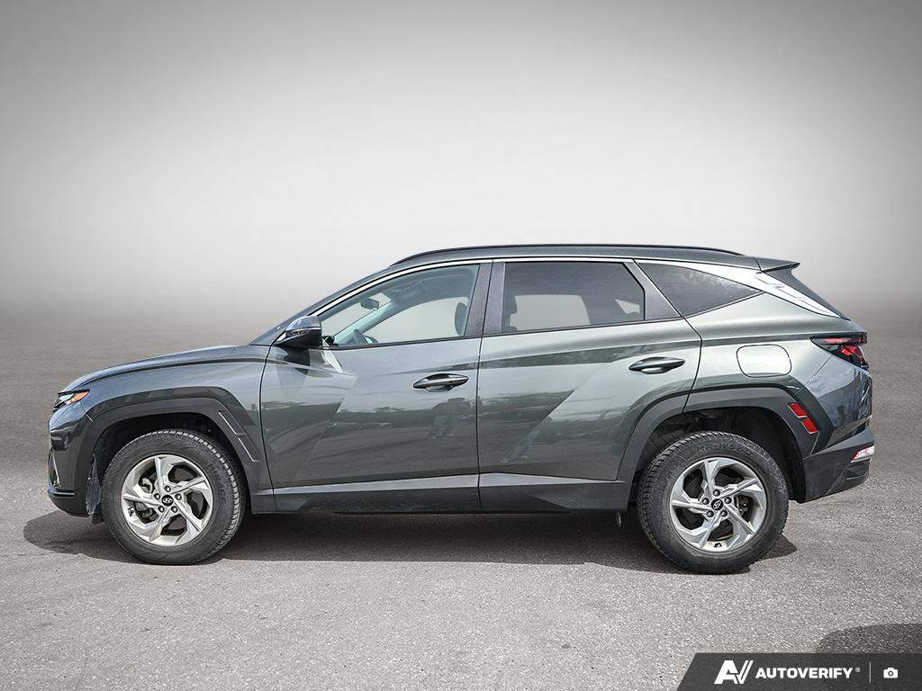 2024 Hyundai Tucson - photo 2