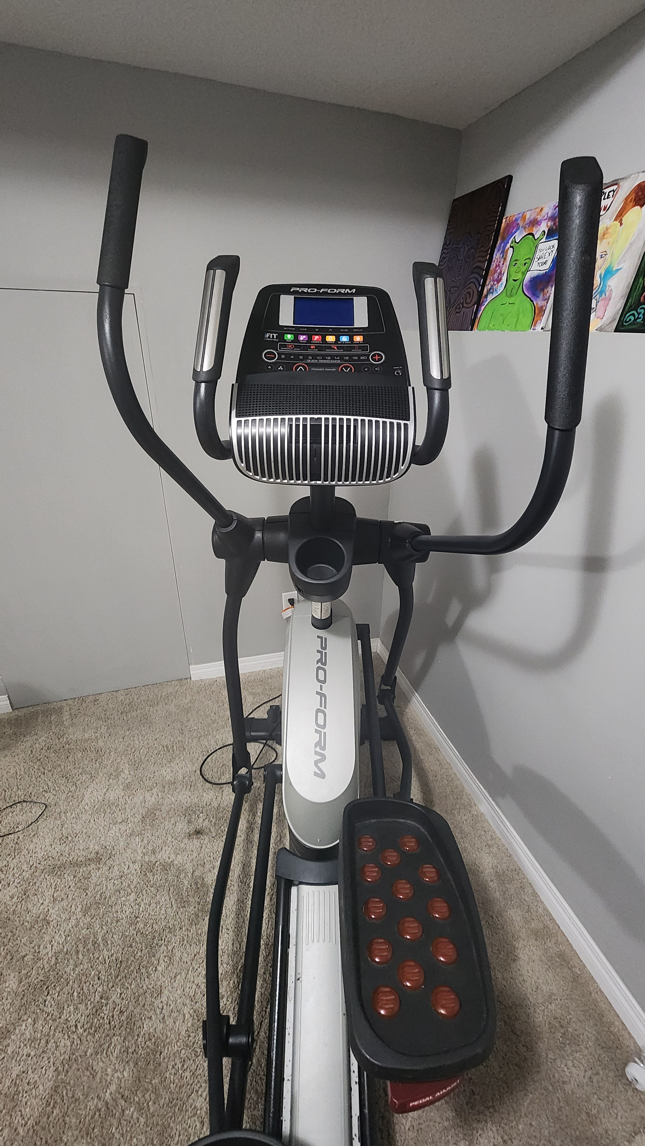 Large Elliptical - photo 2