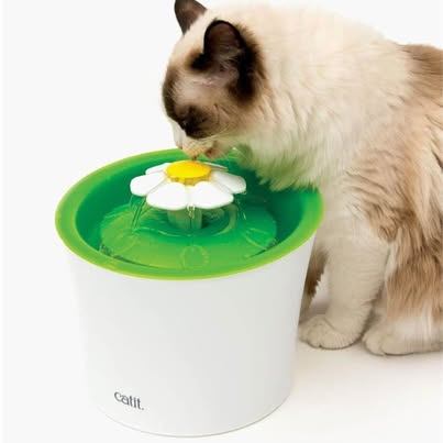 New Cat Water Fountain