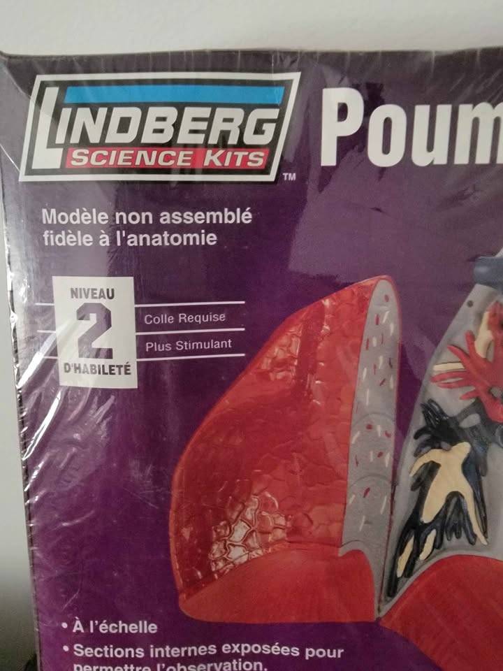 LINDBERG #71311 HUMAN LUNG MODEL KIT NEW IN ORIGINAL BOX, SEALED - photo 2