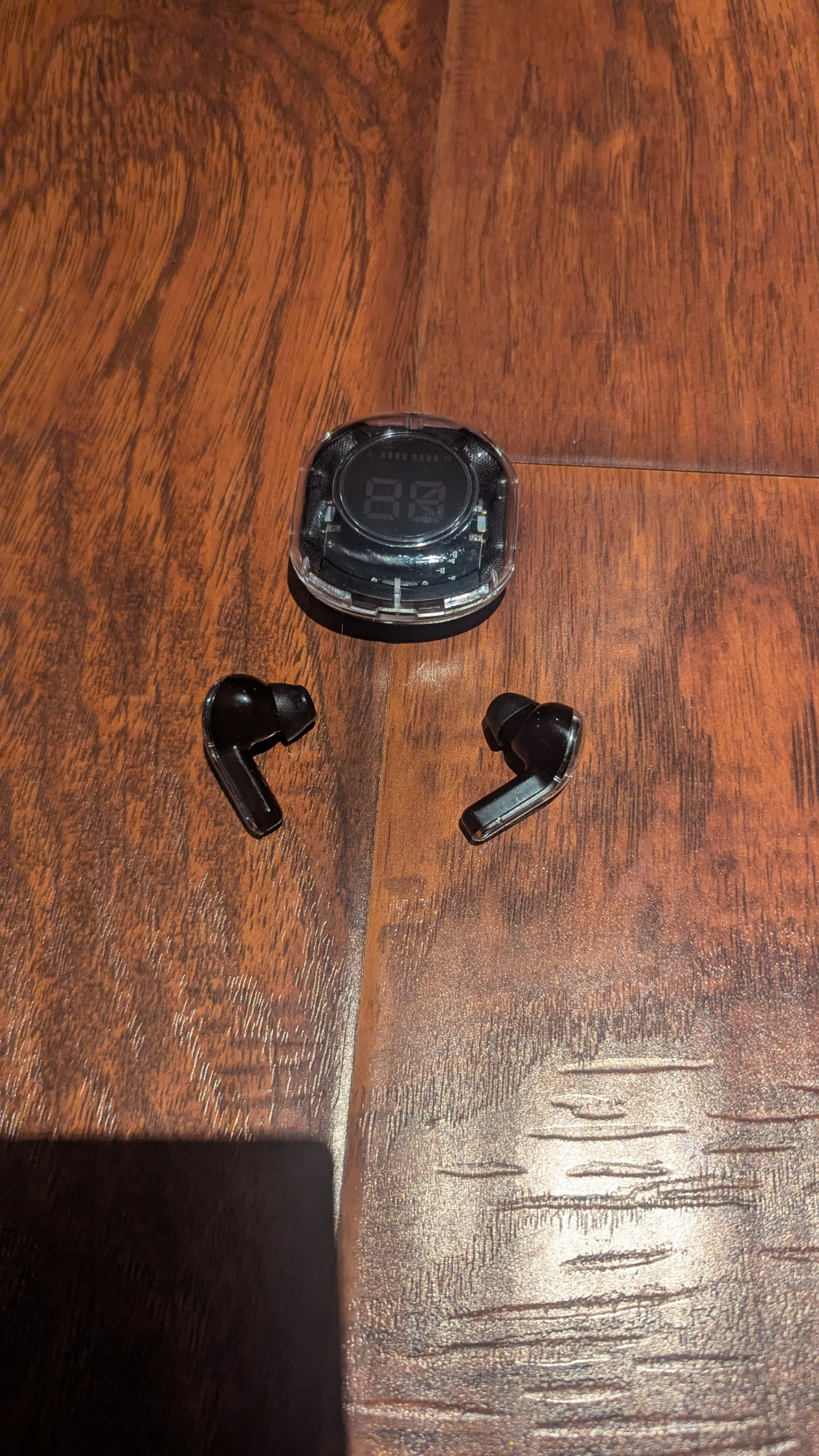 Black Clear Earbuds