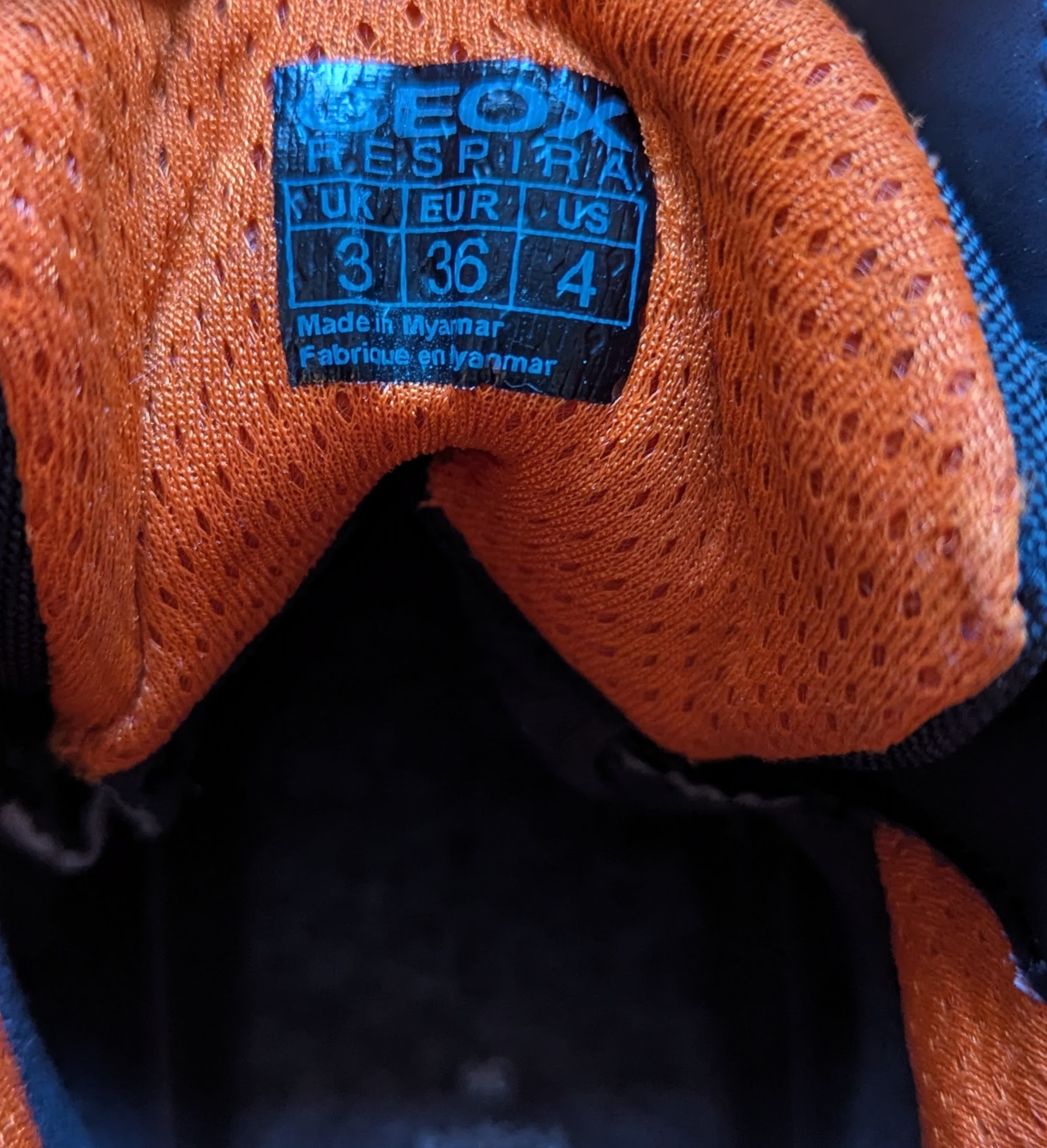 Geox mid-cut sneaker for boys size 36 (US 4) - photo 3