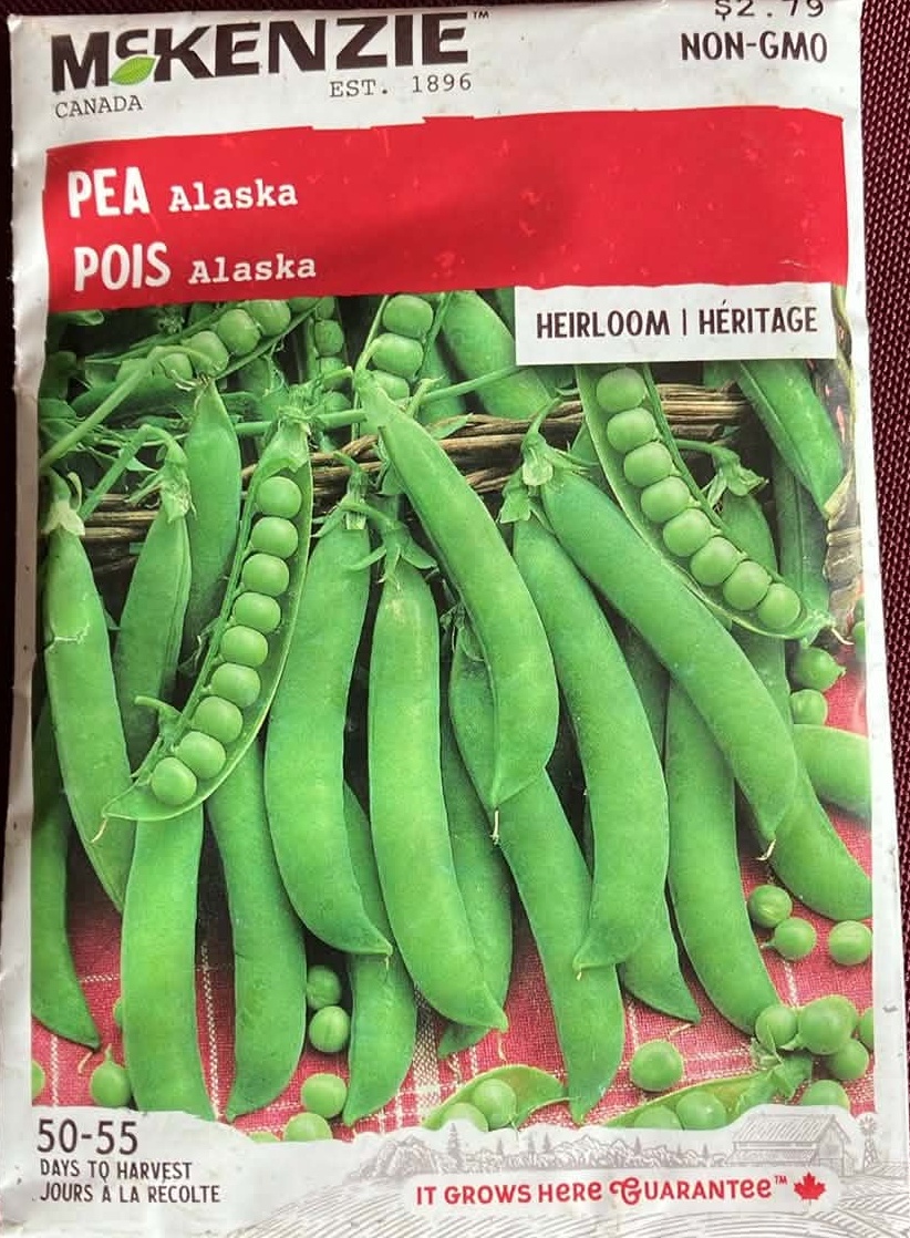 Pea Alaska Seeds