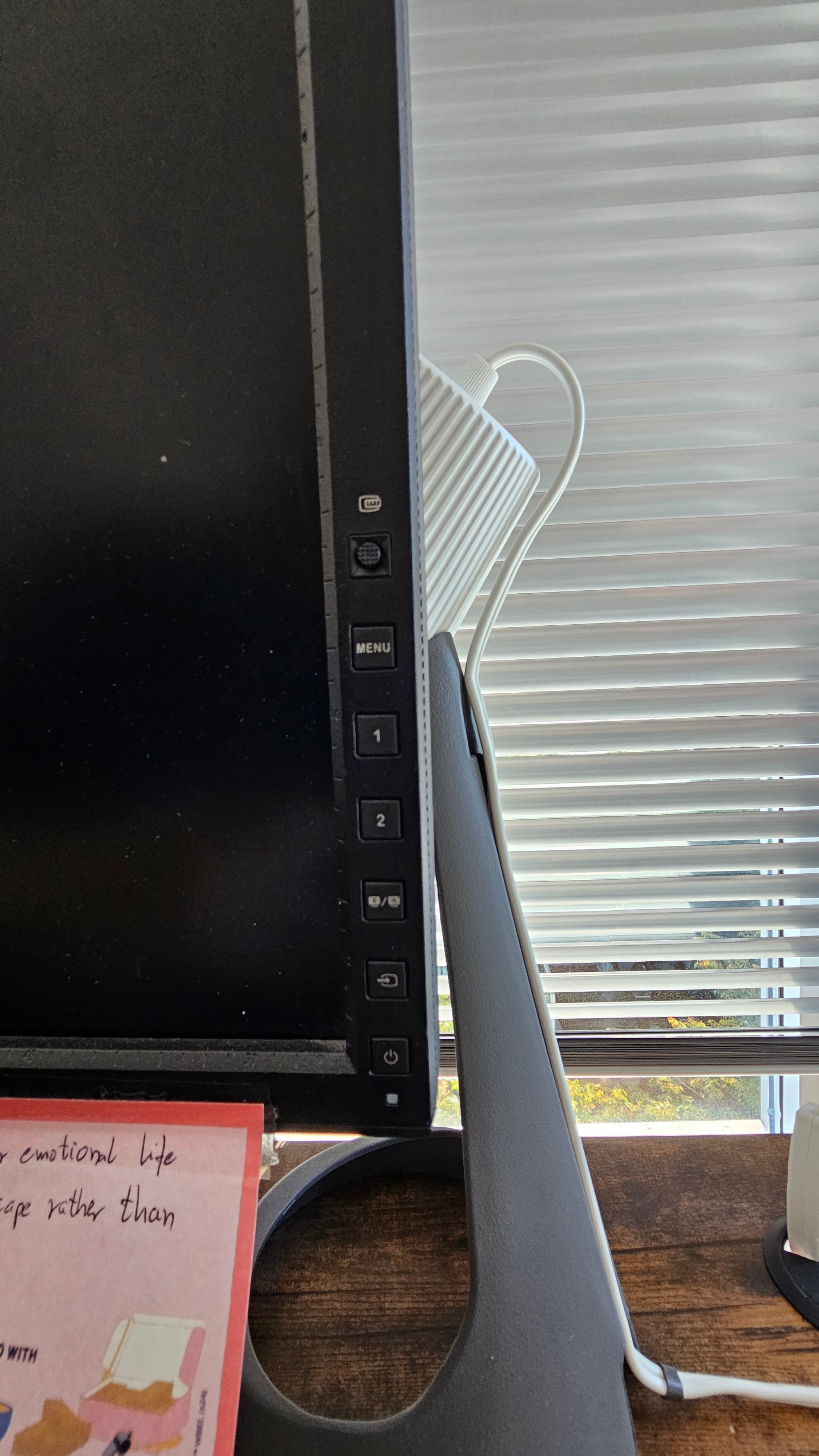 ASUS ProArt PA248Q 24.1" IPS Monitor – 1920×1200 - photo 3