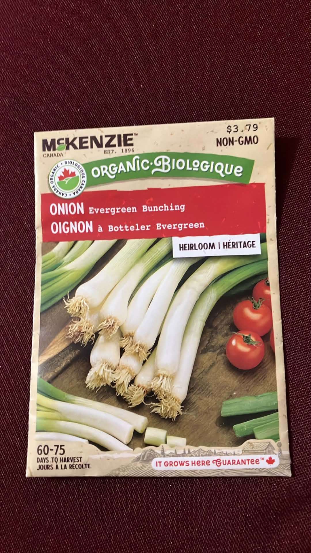 Onion Evergreen Bunching Seeds