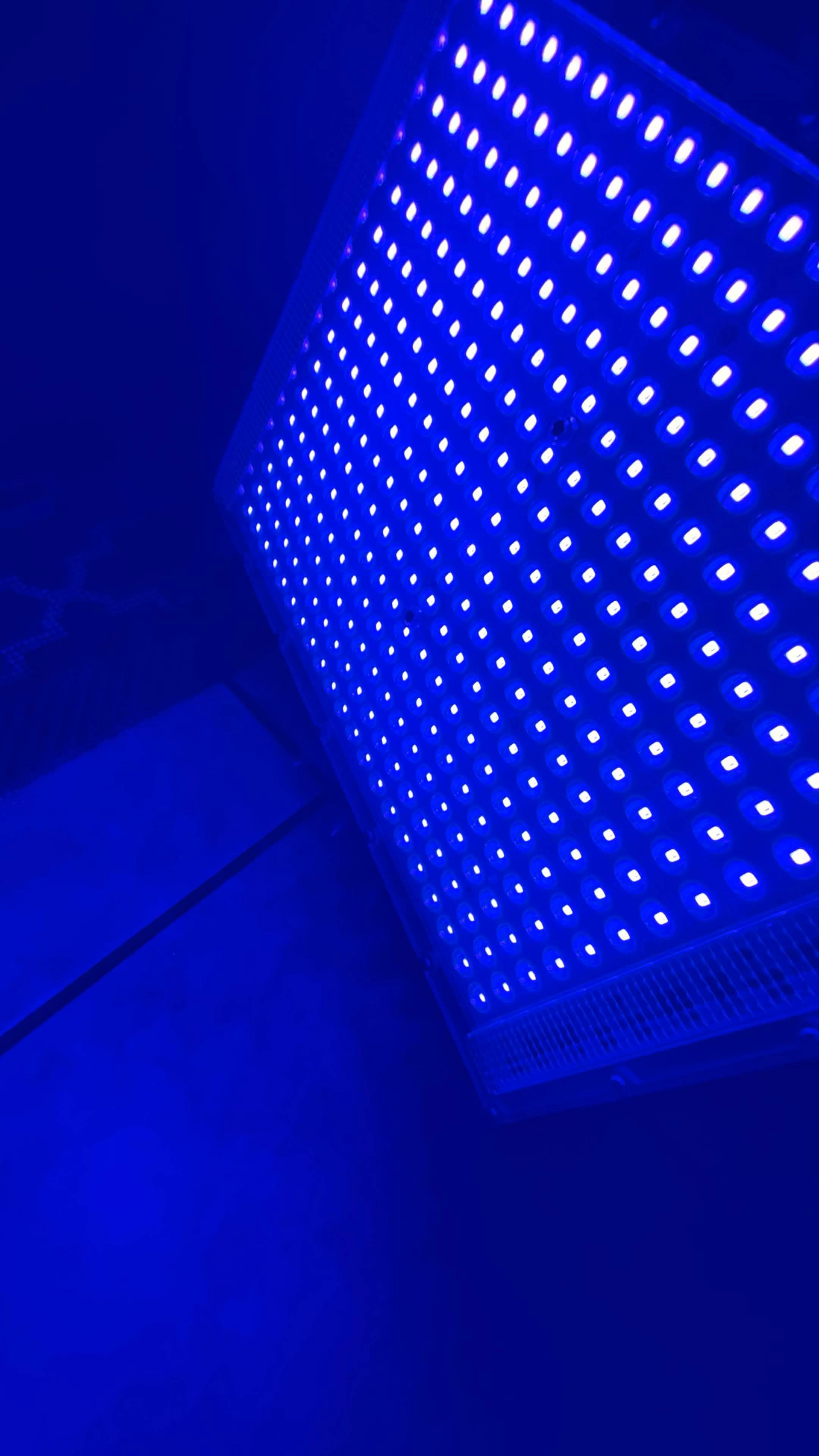 Neon Glow Party Box Rental - photo 4