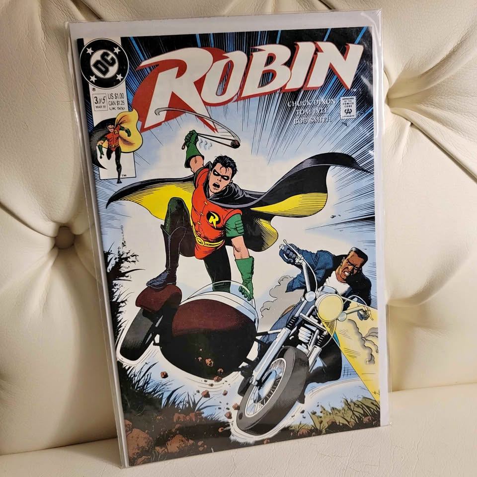 Robin #3 of 5 - DC Comics March 1991 - Chuck Dixon Tom Lyle -