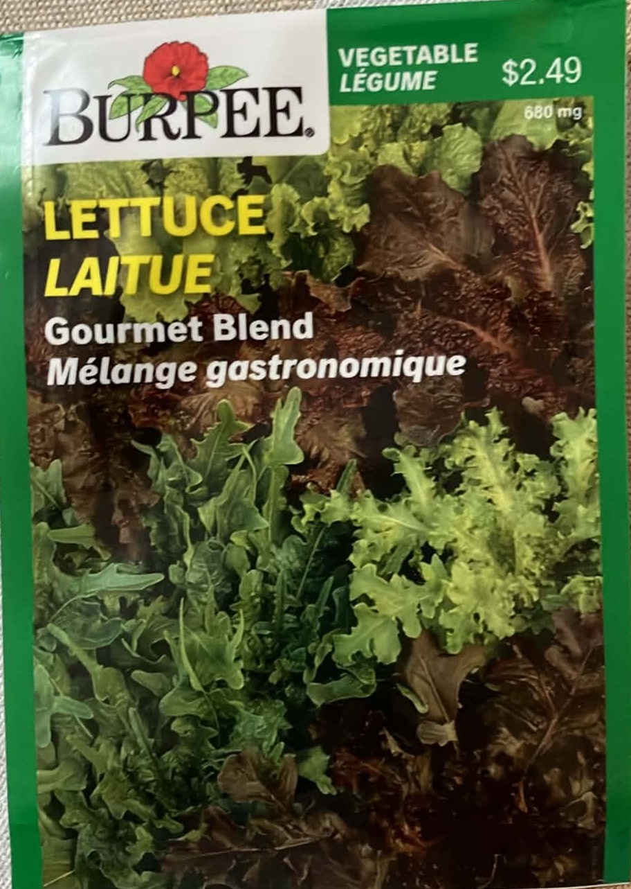 Lettuce Gourmet Blend Seeds