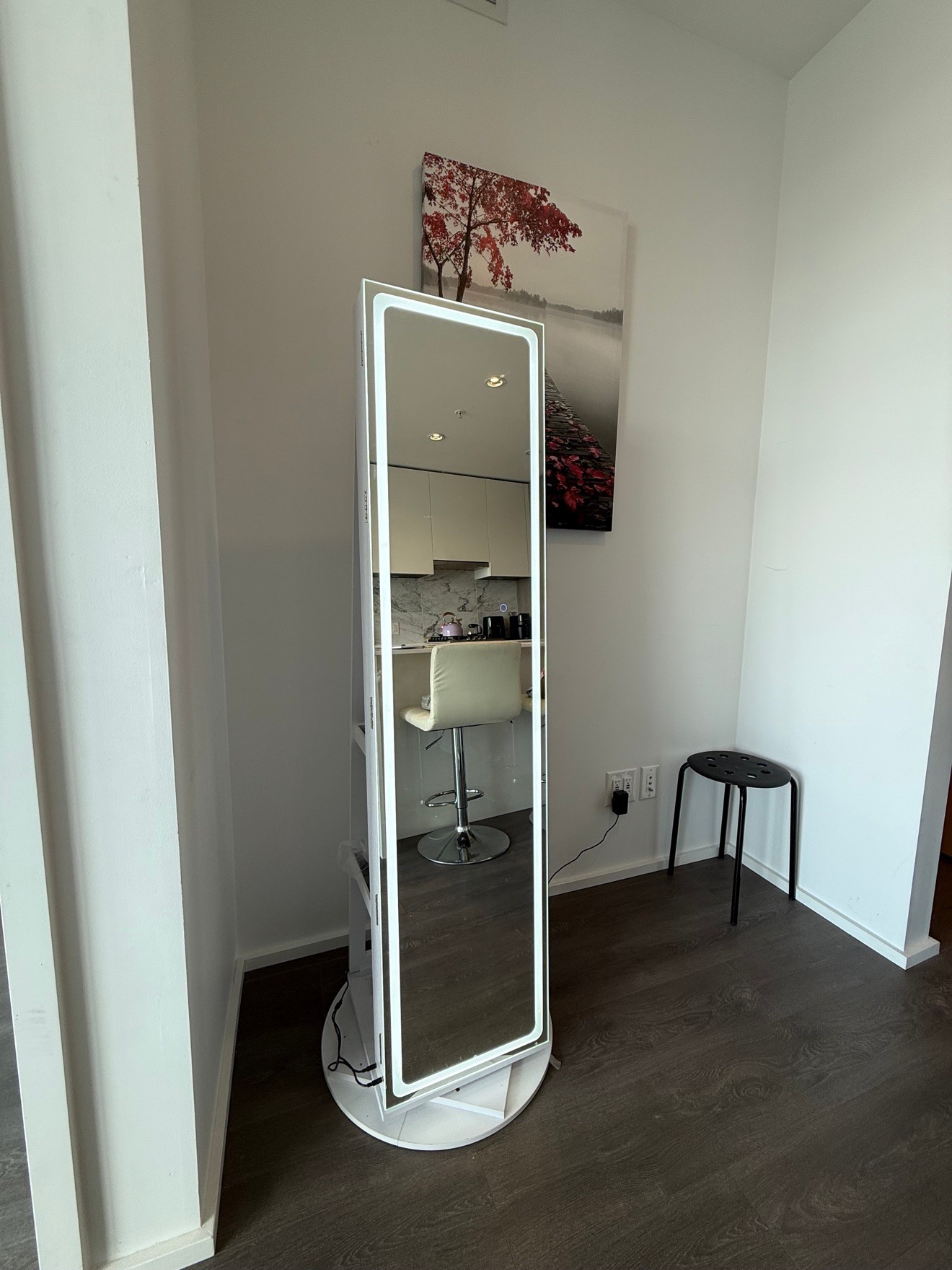 360° Rotating LED Mirror with Jewelry Cabinet – Like New