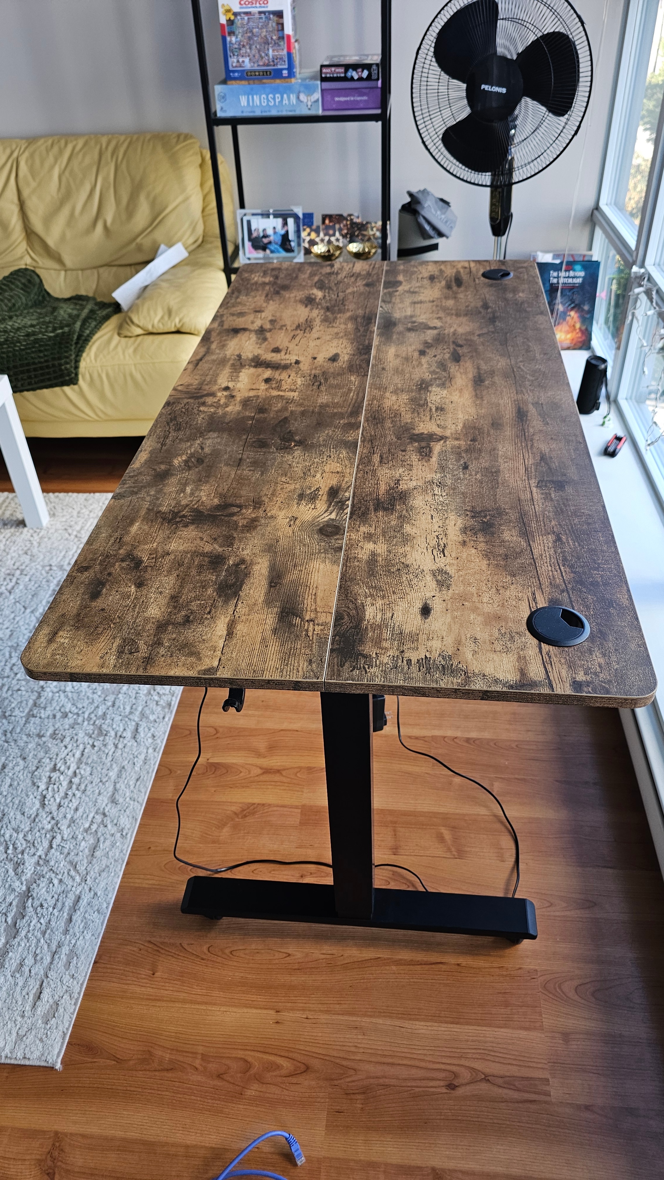 ErGear Electric Standing Desk - photo 2