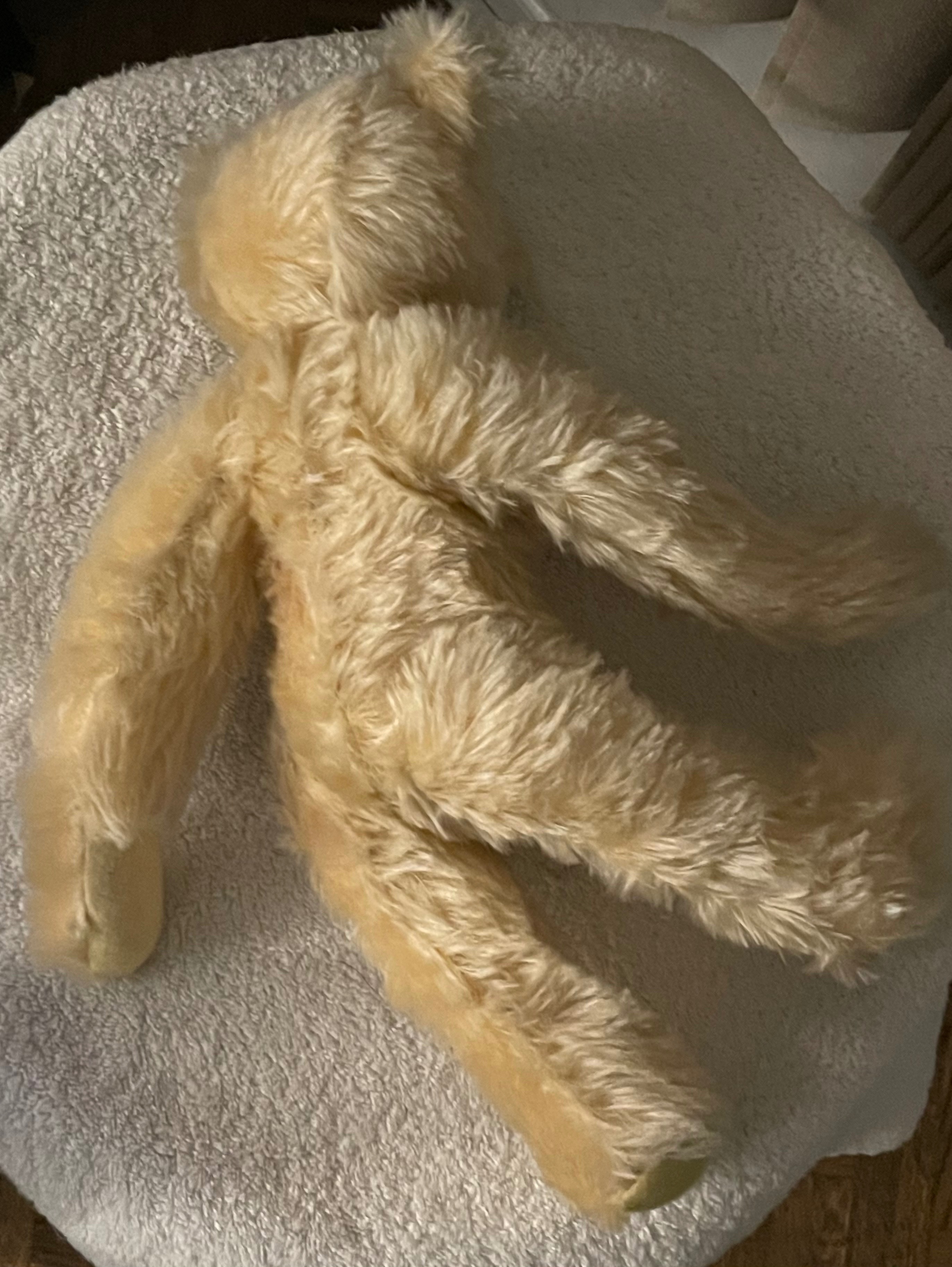 Vintage Signed Artist Teddy Bear by S. Edwards - 15" - photo 4