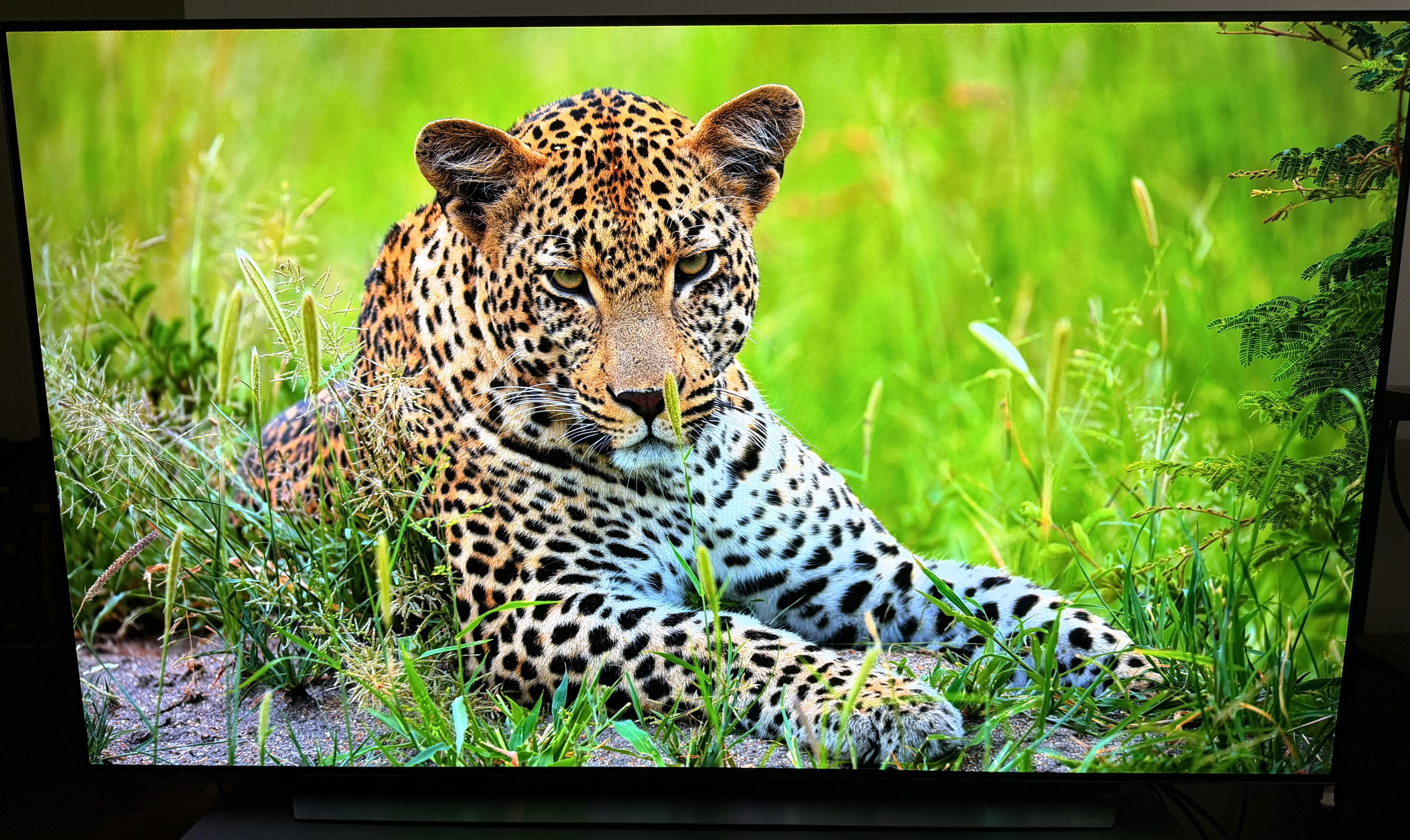 LG OLED TV(C Series)- 65 inch - photo 2