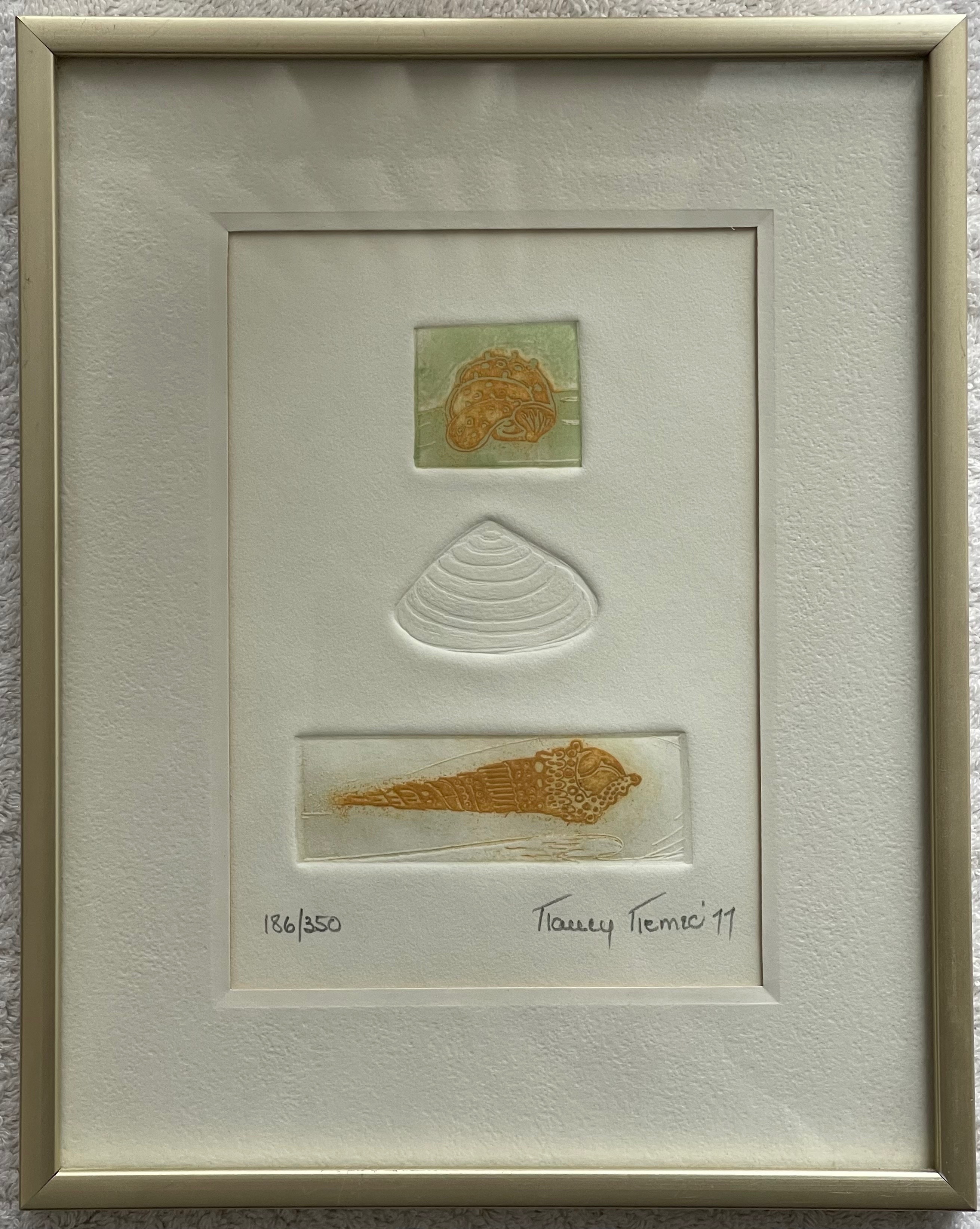Signed 1977 Nancy Nemec Embossed Shell Art (8x10 Framed)