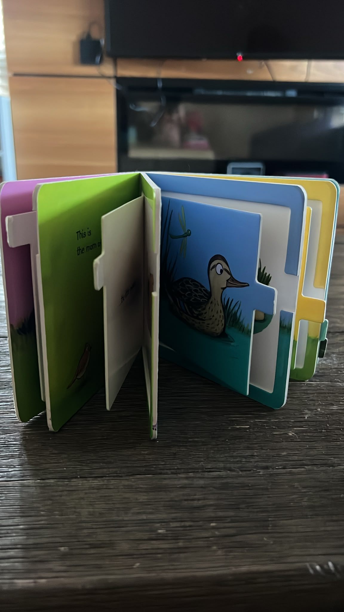 Two Baby Board Books