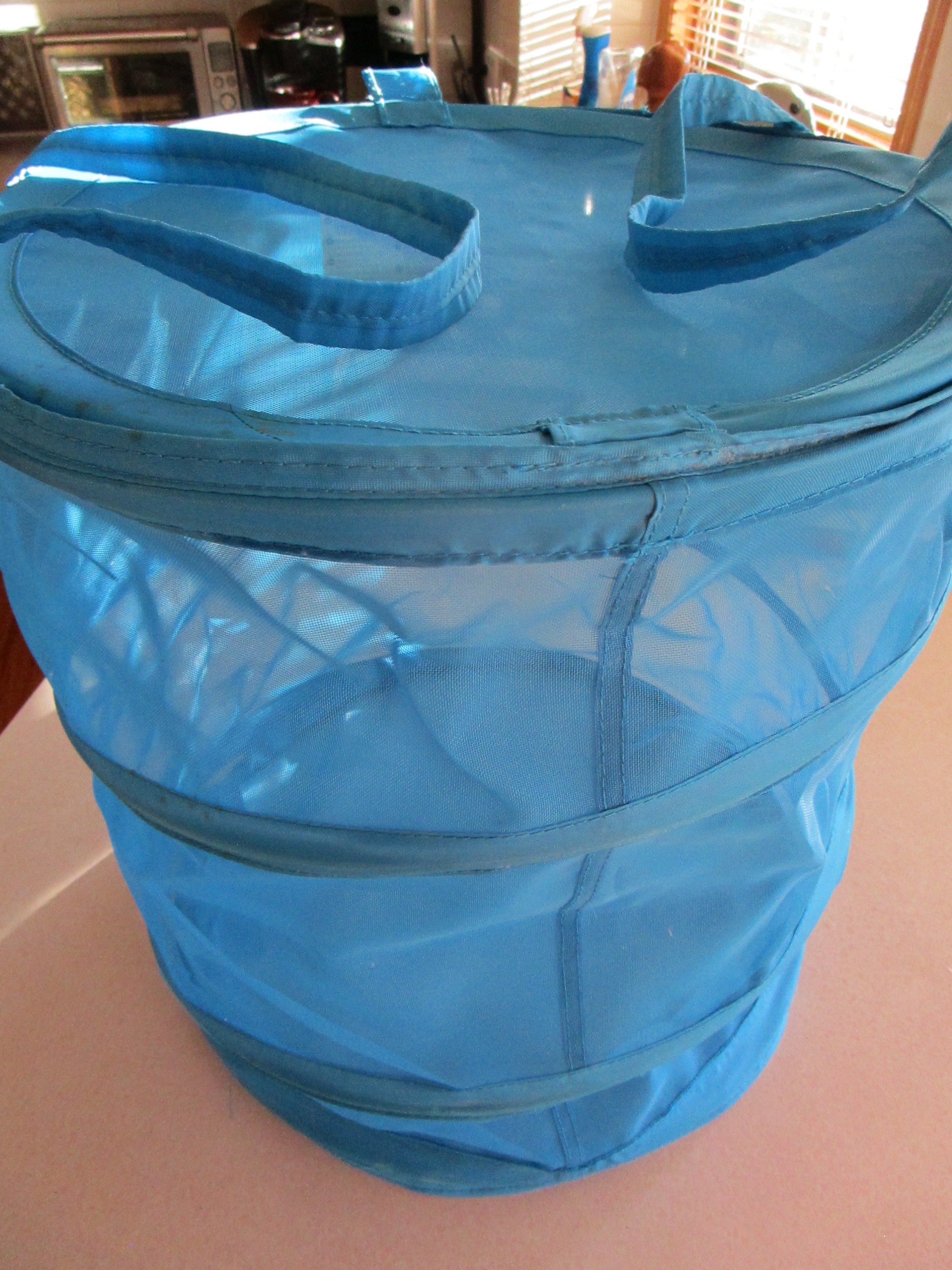 FOLD UP BIN—CARRY ALL