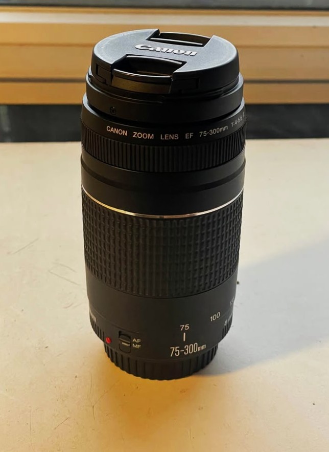 Canon EF 75-300mm f/4-5.6 III Lens - photo 3