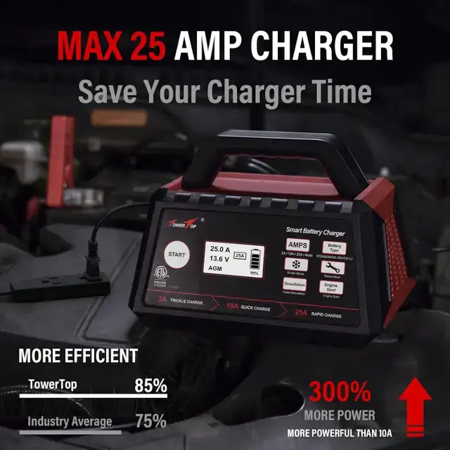 TowerTop 25A Smart Battery Charger - photo 4